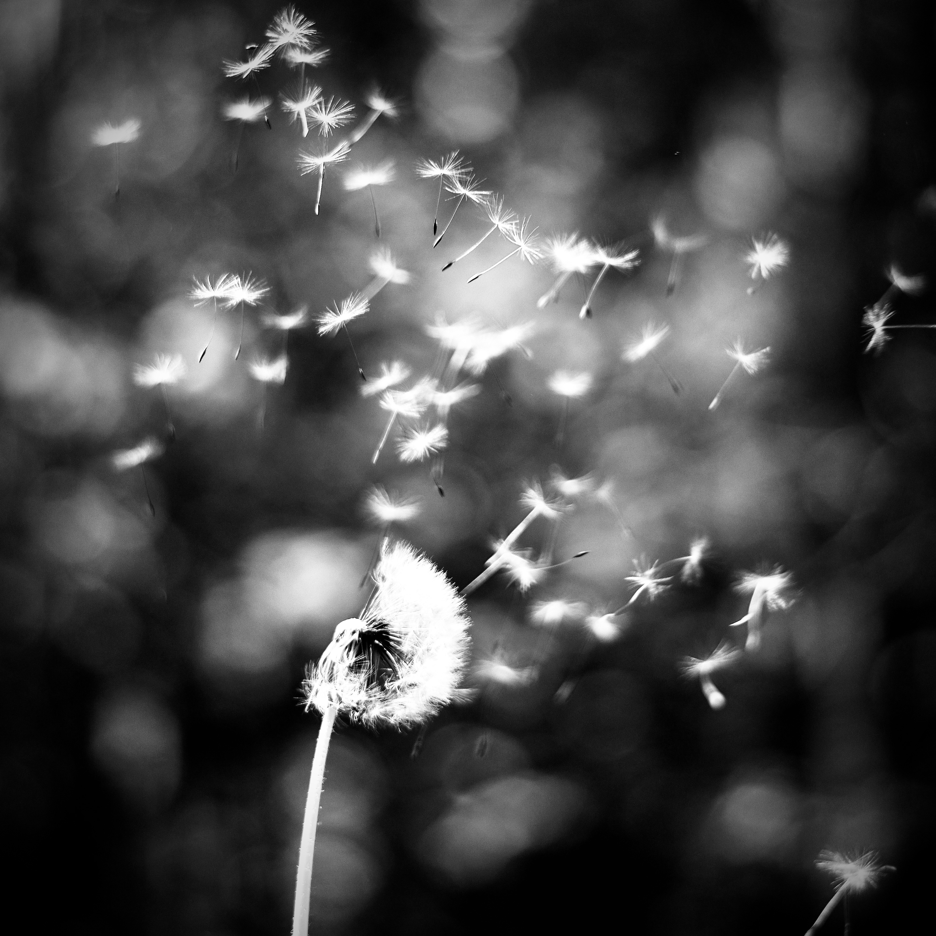 aquele que habita os céus sorri