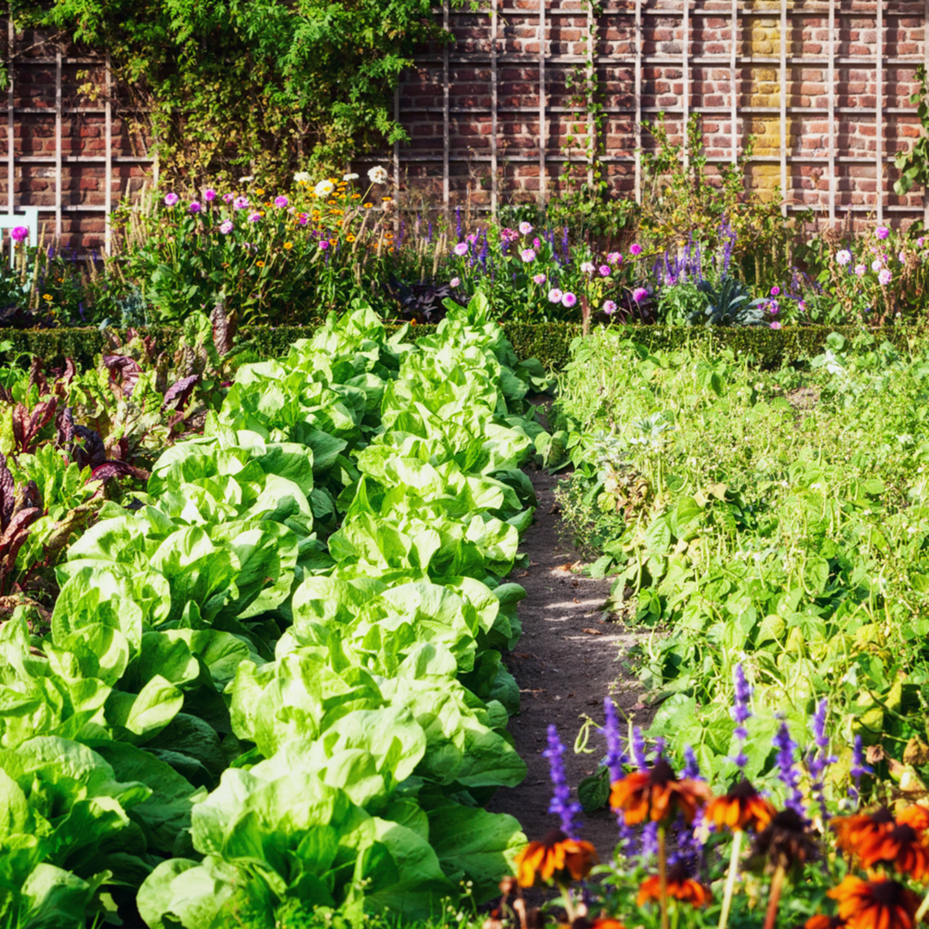 Could a Green Thumb Earn You Some Green? episode artwork