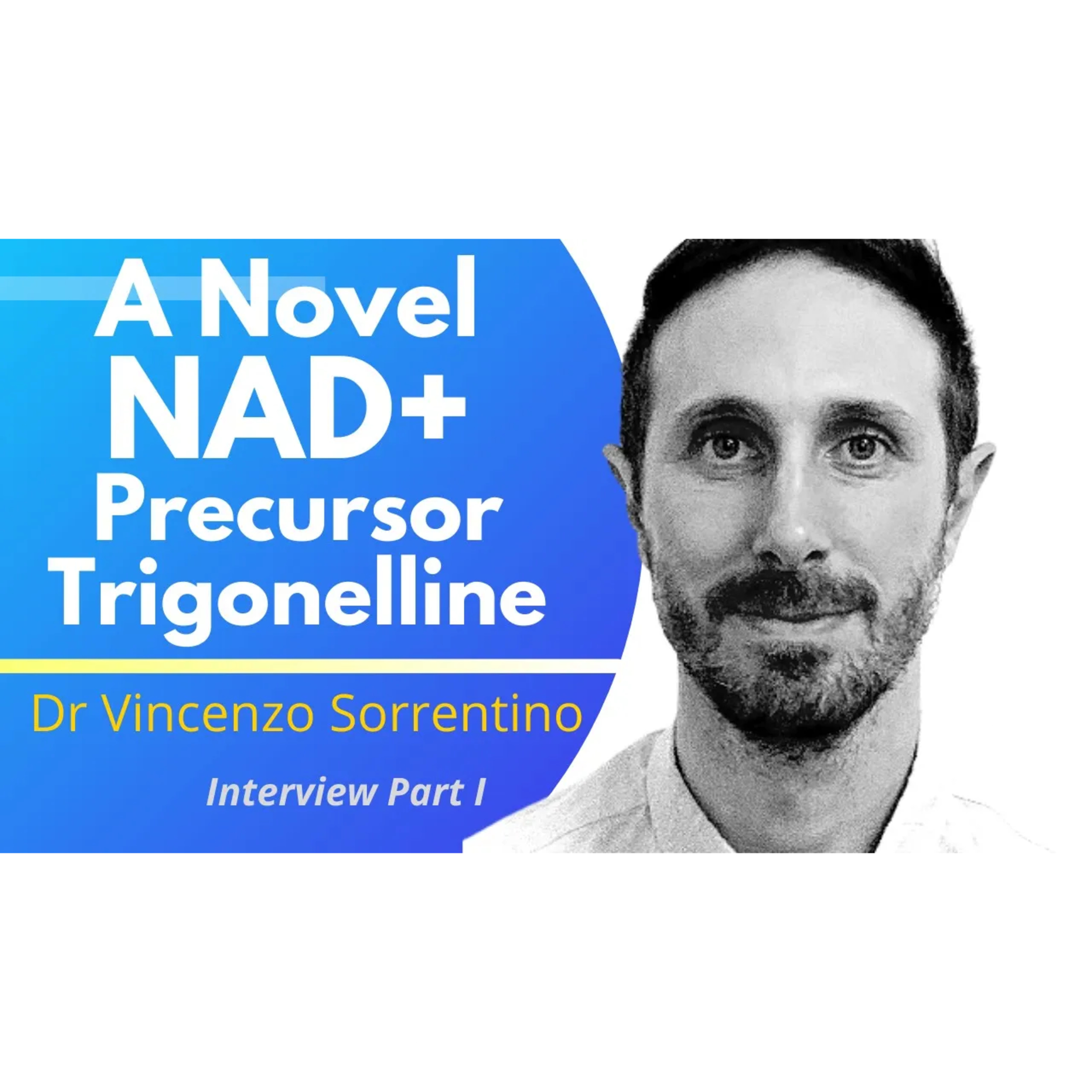 A Novel NAD+ Precursor Trigonelline More Stable Than NR & NMN | Dr Vincenzo Sorrentino Ep 1 episode artwork