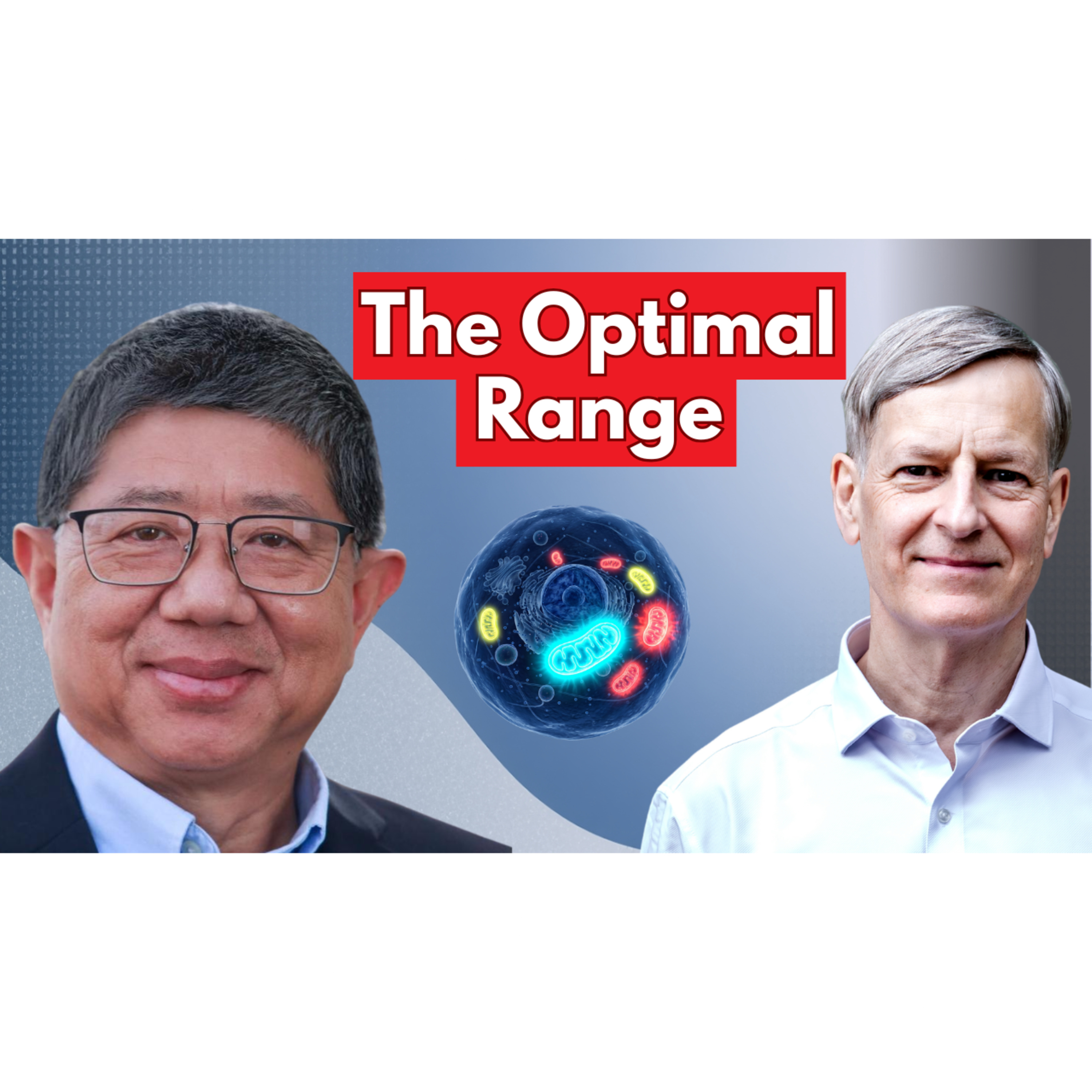 The NAD Expert: This Is the Ideal Level for Your Cells | Dr Jin Xiong She episode artwork