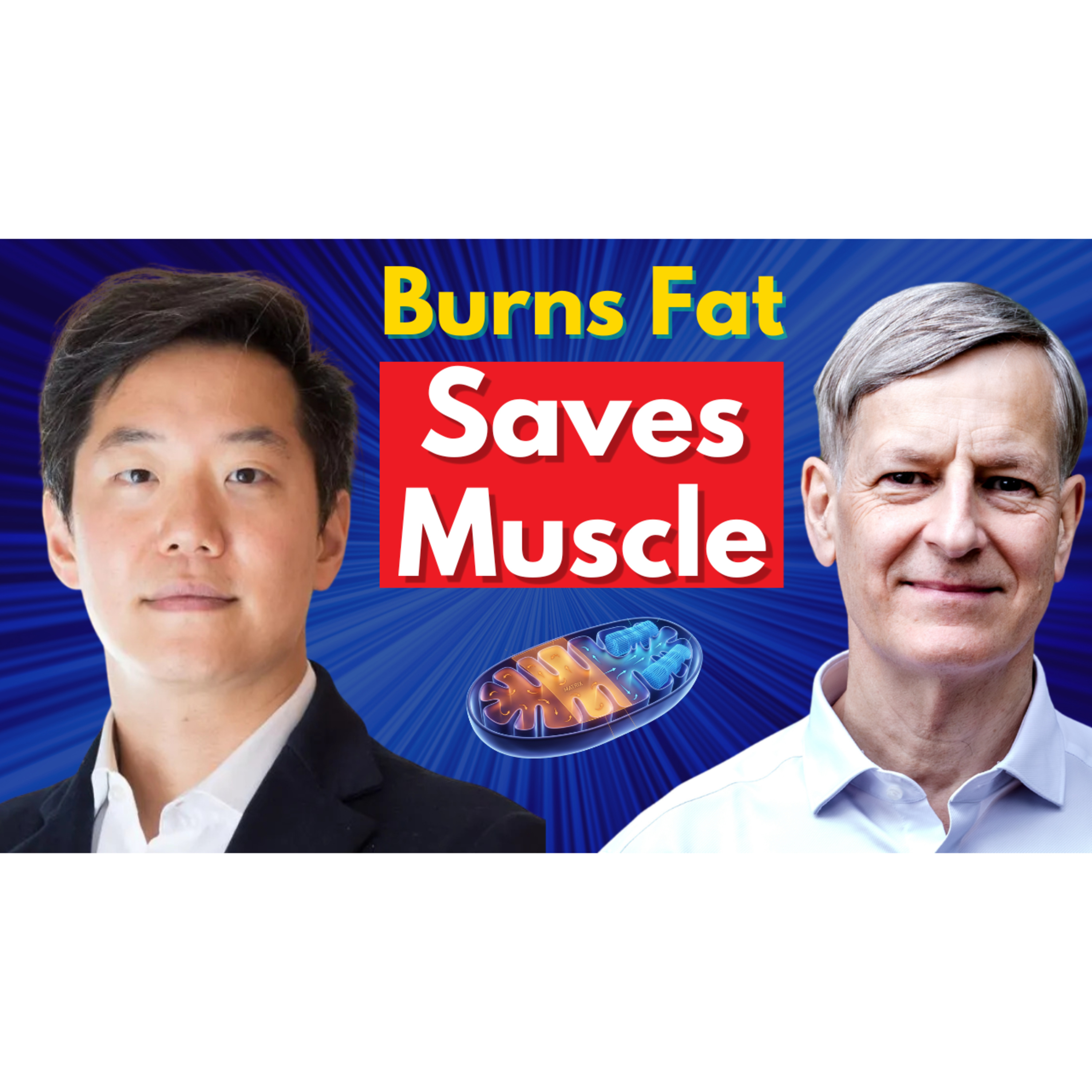 How This Peptide Drives Fat Loss & Preserves Muscle | Dr David Lee episode artwork