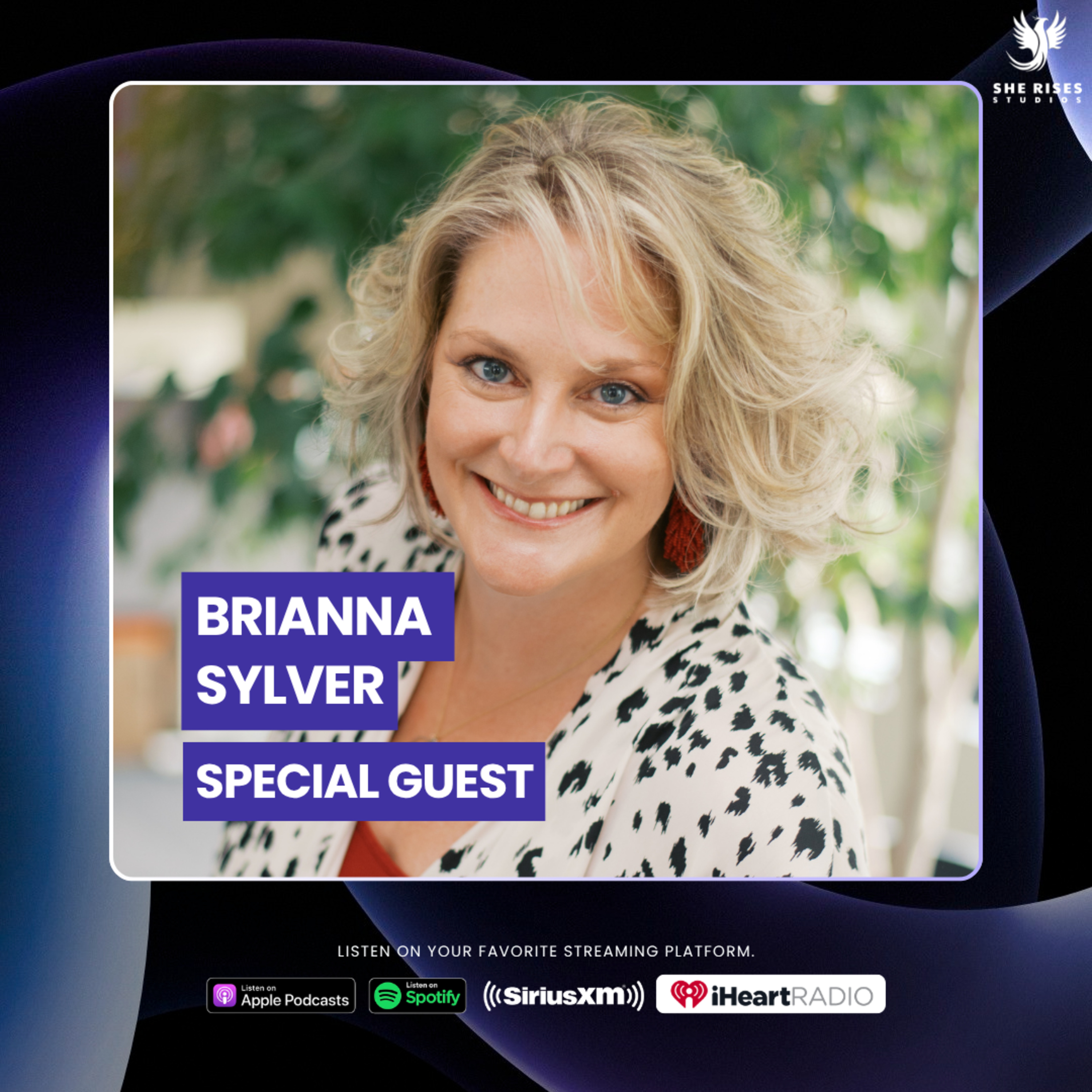 Rising Through the Free Fall: How to Turn Turbulence into Momentum w/Brianna Sylver episode artwork