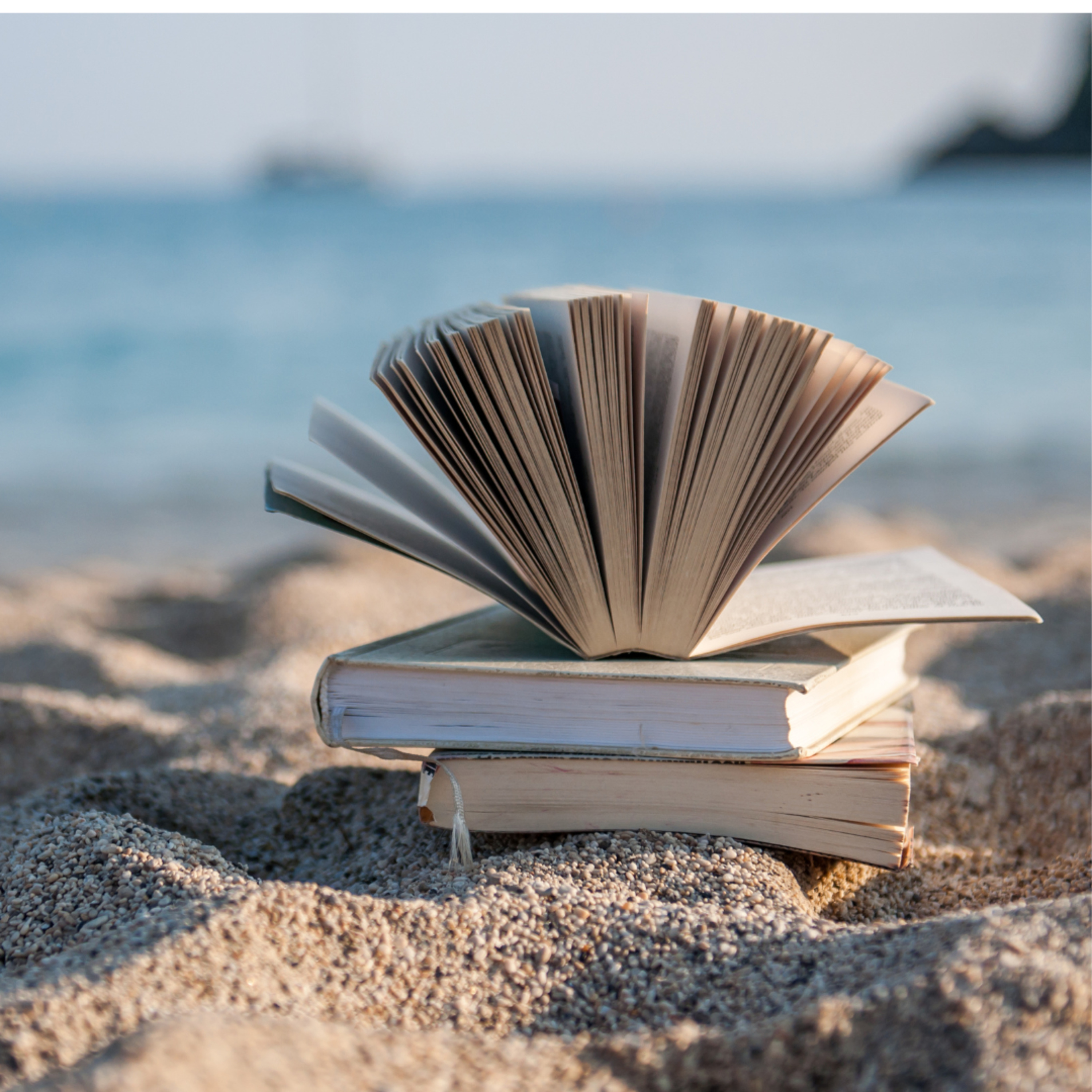 Episode 25: Amy Talks Diving with the Loch Ness Monster, Summer Reads, and Historical Fiction episode artwork