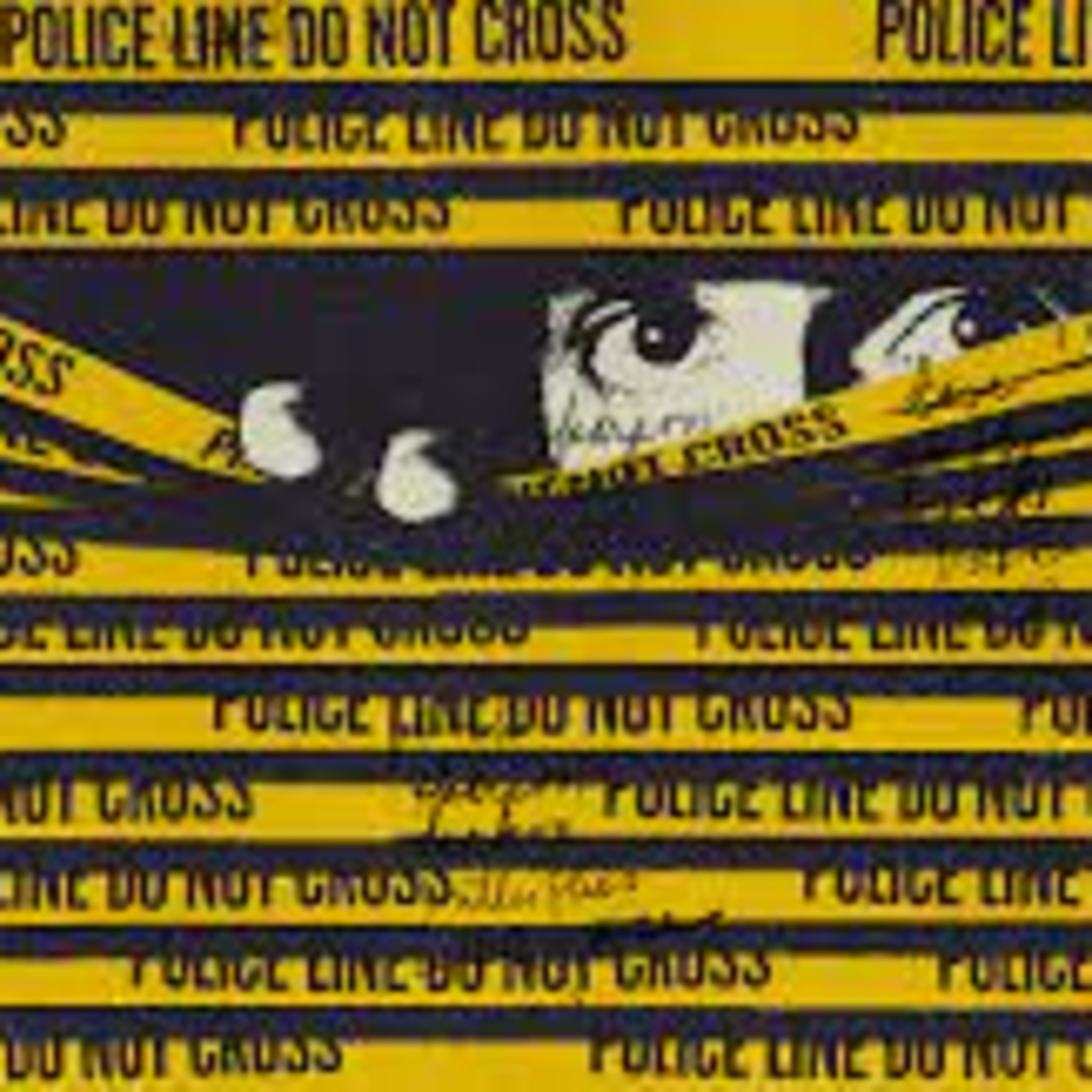 Episode 40: Lynette Talks Mysteries, True Crime, and the Perfect Murder episode artwork