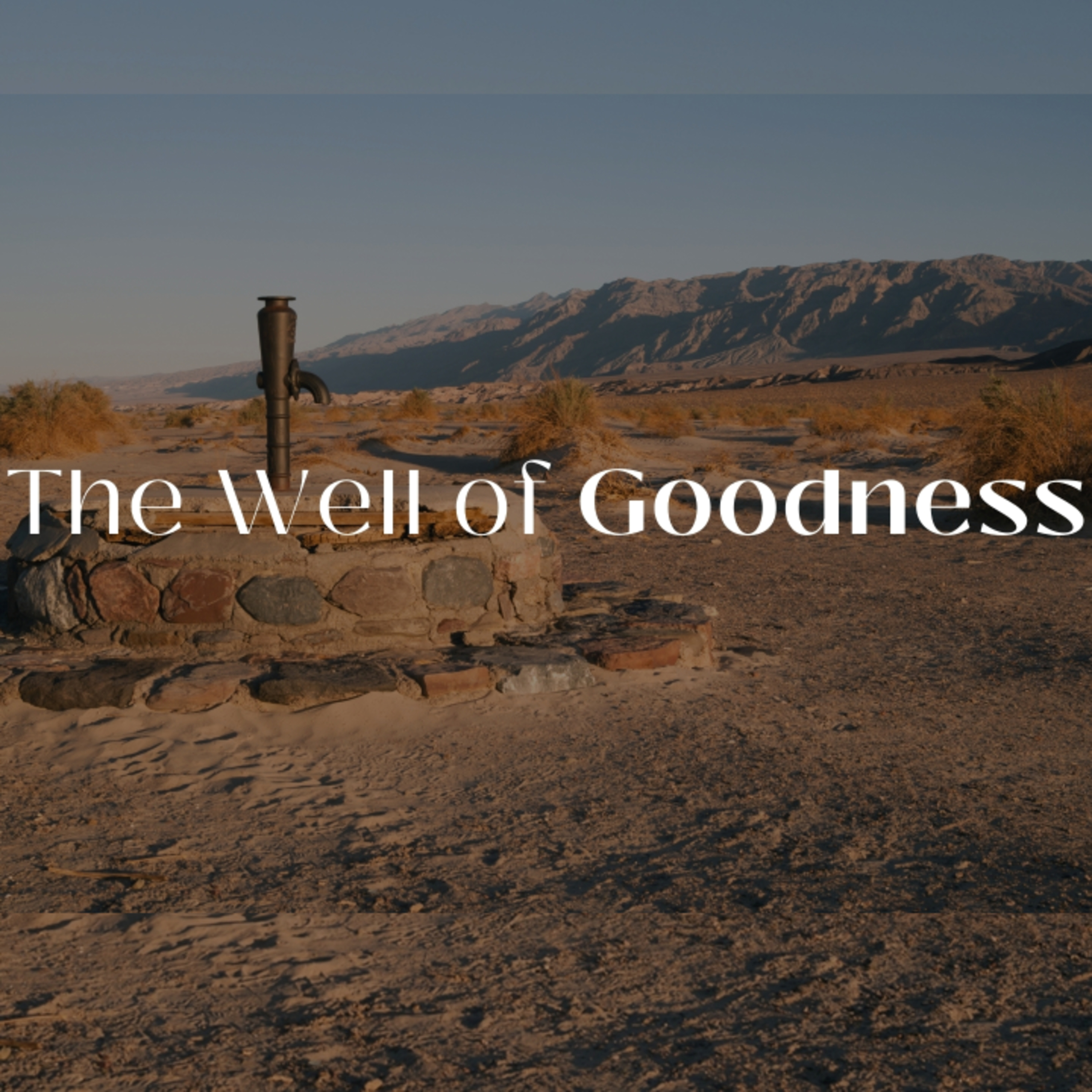 The Well of Goodness | Ricky Spindler episode artwork