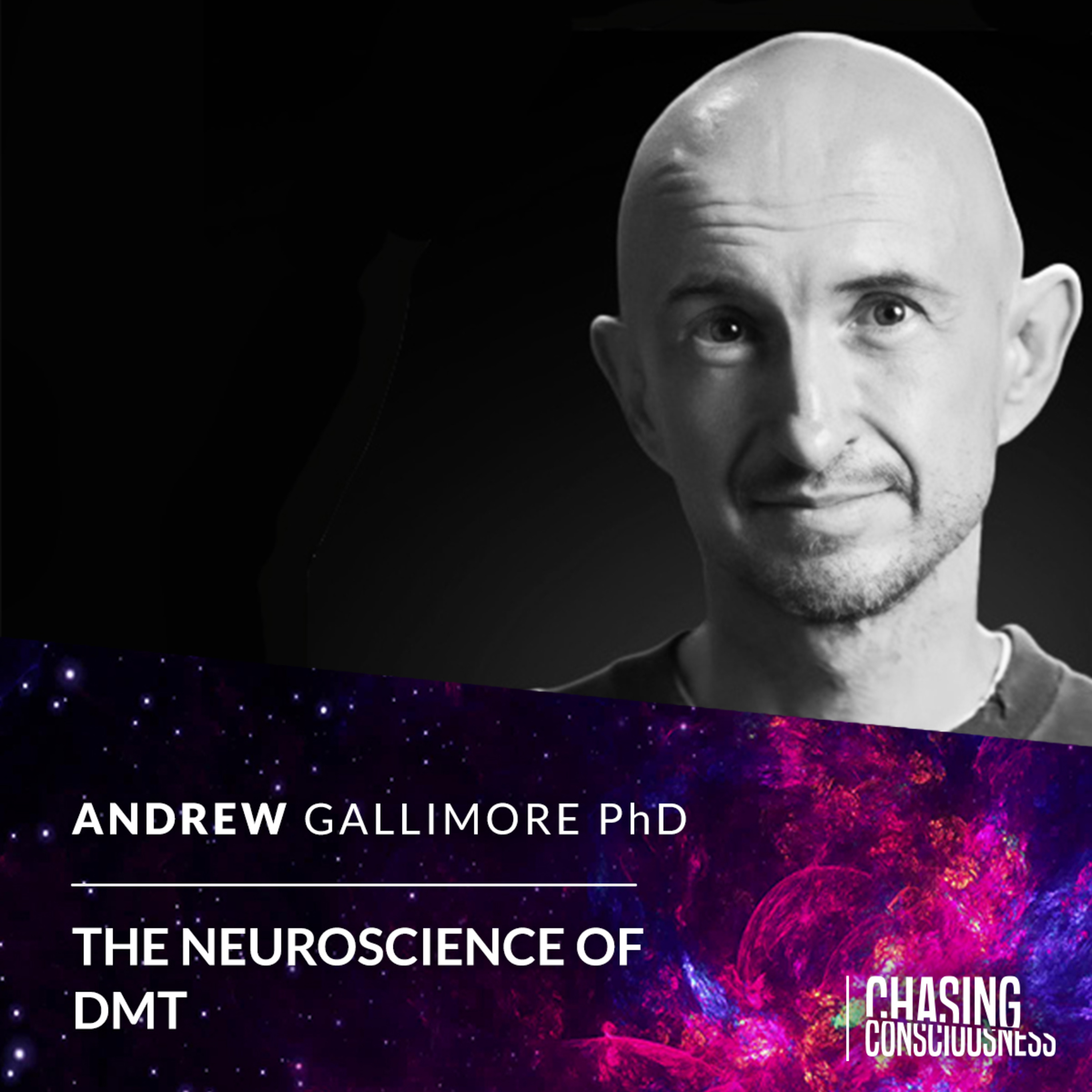 Chasing Consciousness