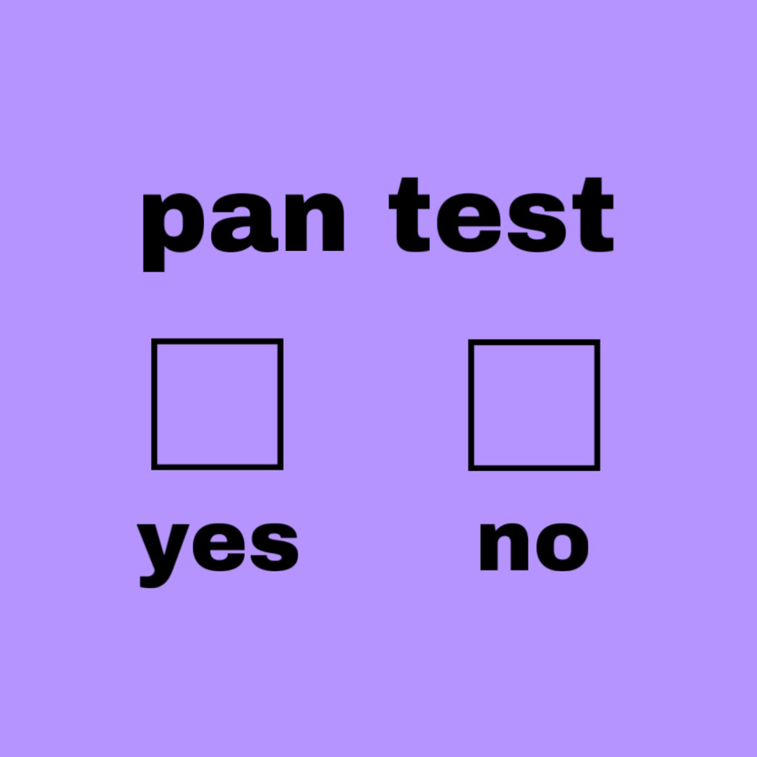 taking an online pan test as a pan person episode artwork