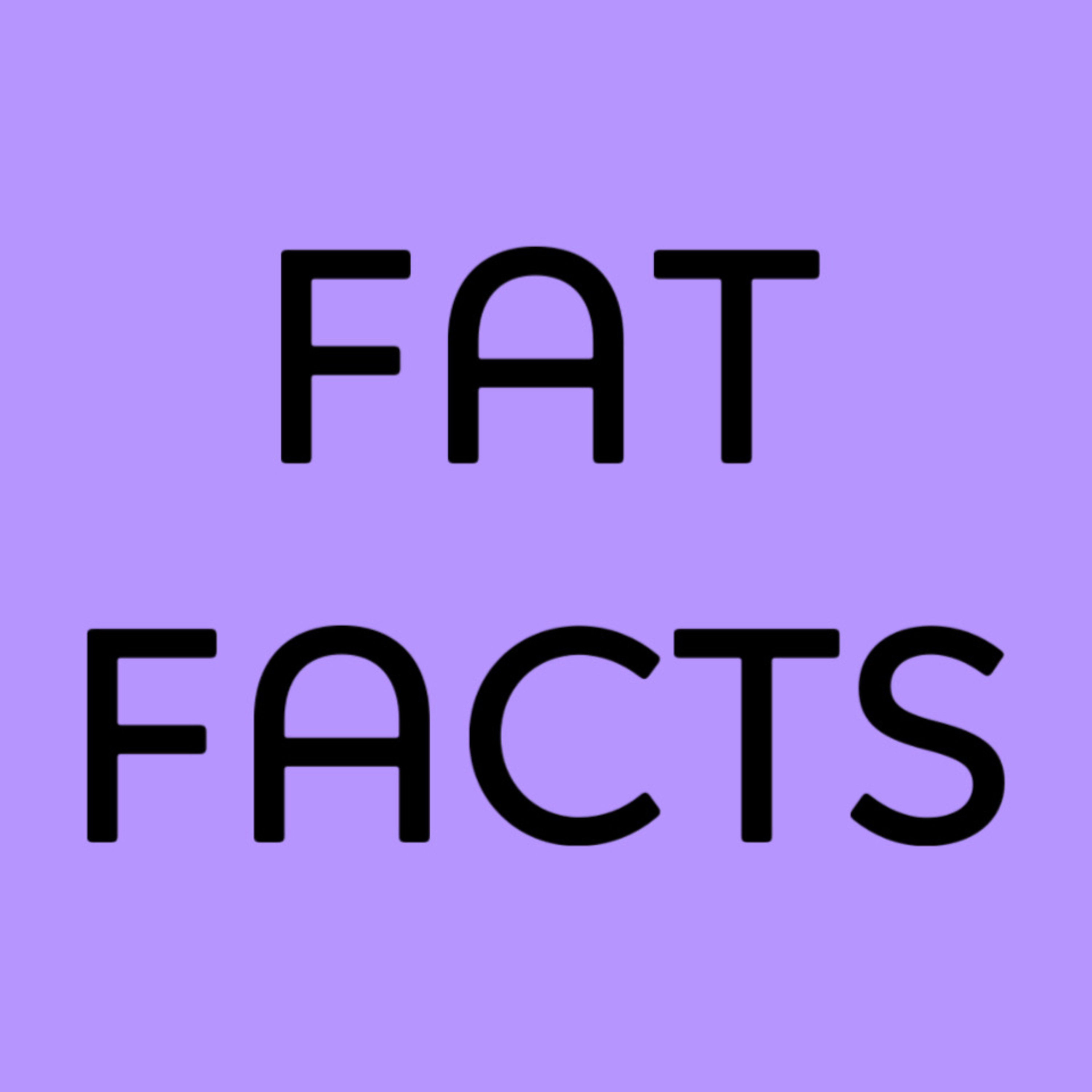 14 facts about fat people episode artwork