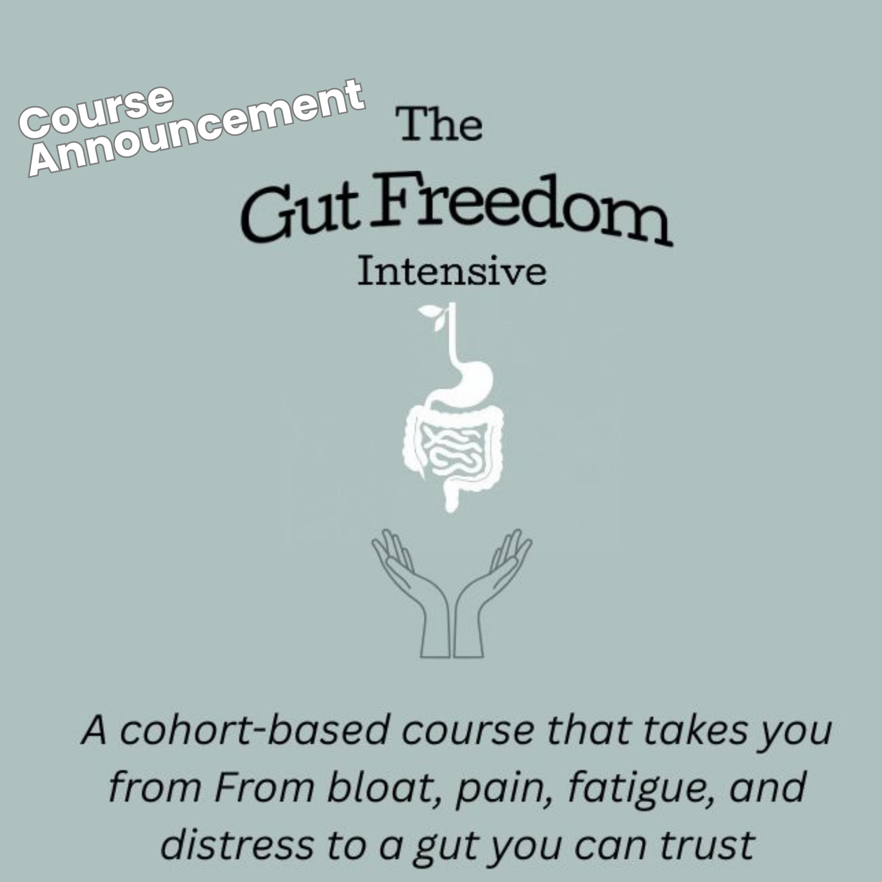 The Gut Freedom Intensive –Special Announcement
