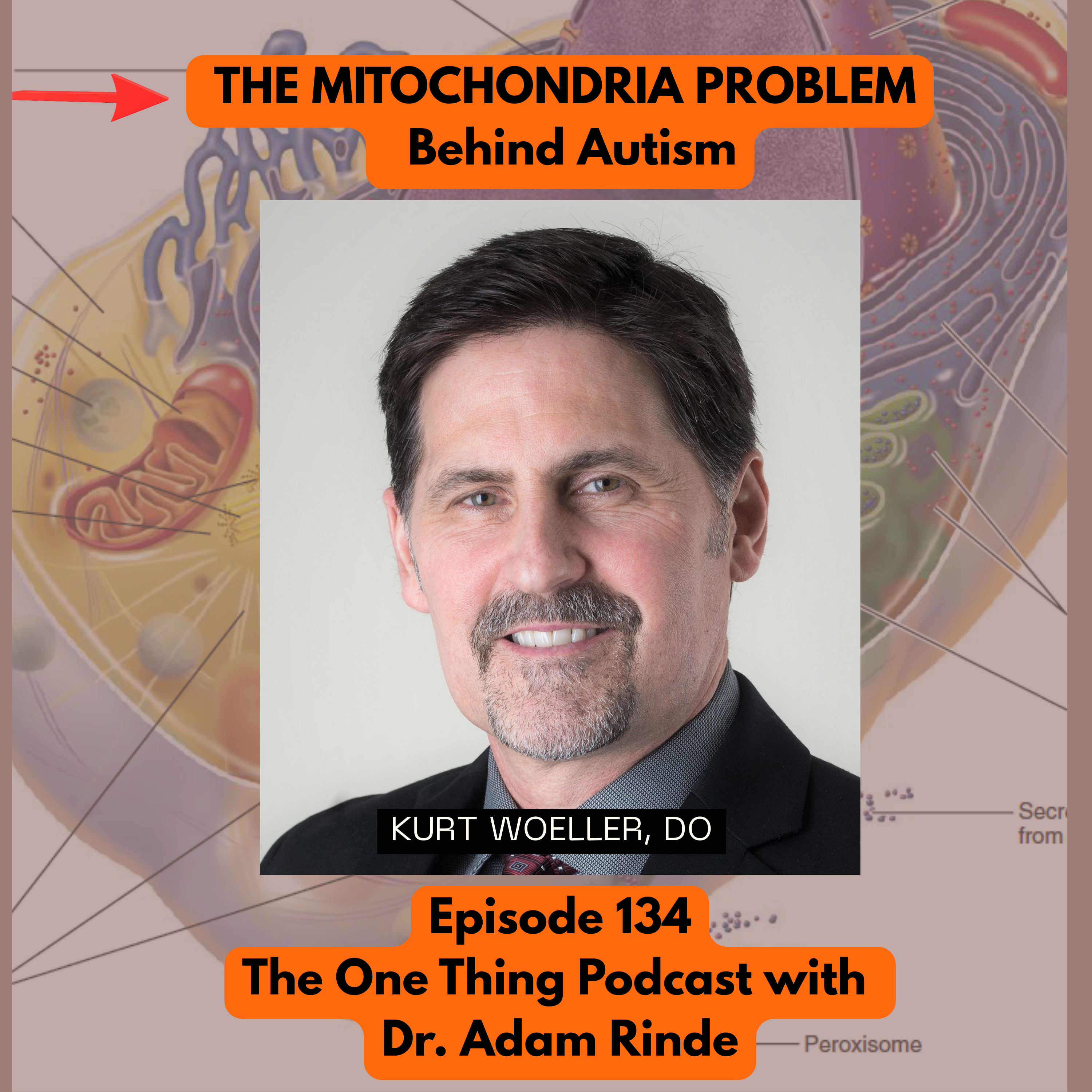 Episode 134: The Hidden Energy Crisis Behind Brain Fog, Autism & Chronic Illness with Dr. Kurt Woeller Episode 134: The Hidden Energy Crisis Behind Brain Fog, Autism & Chronic Illness with Dr. Kurt Woeller