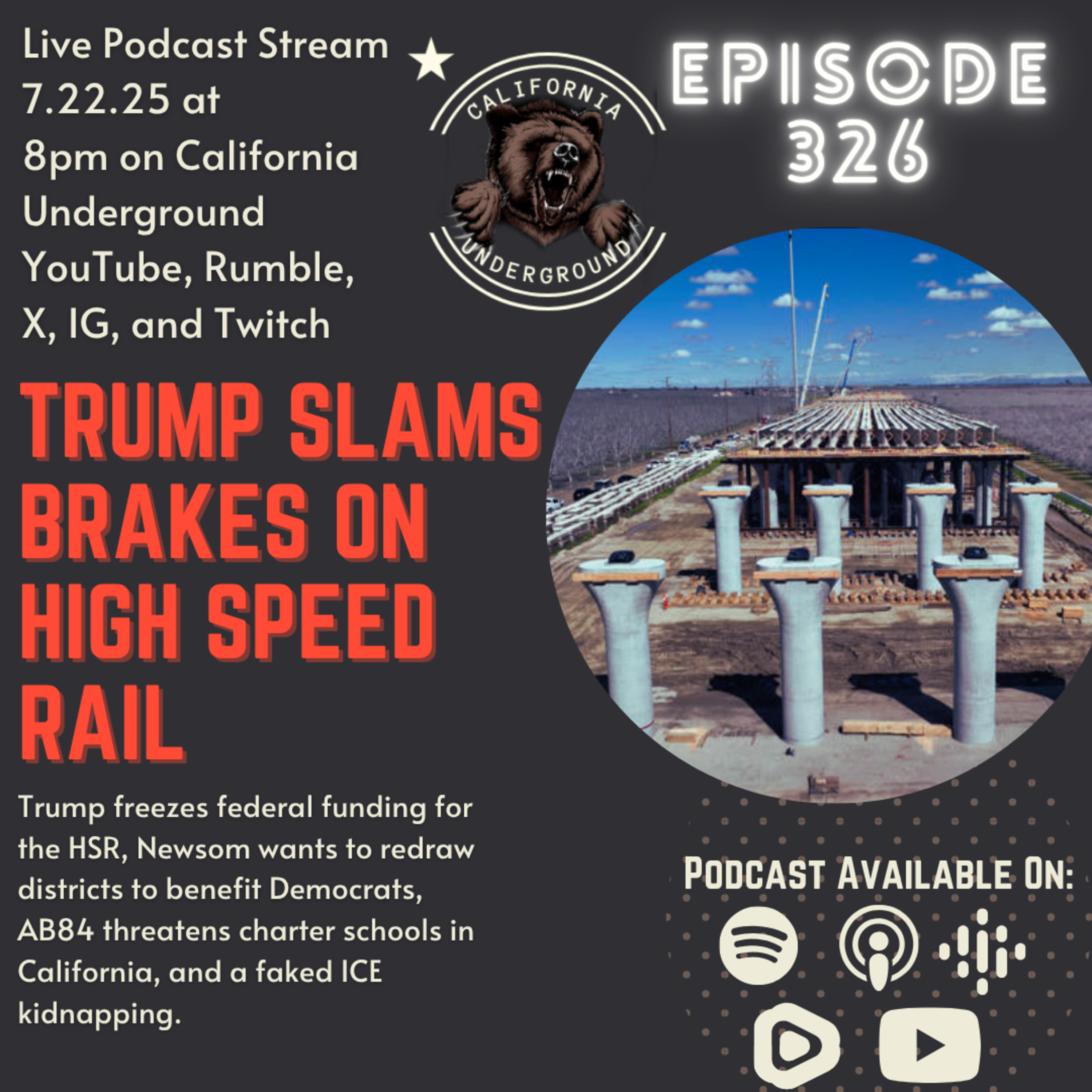 Trump Slams Brakes on High Speed Rail