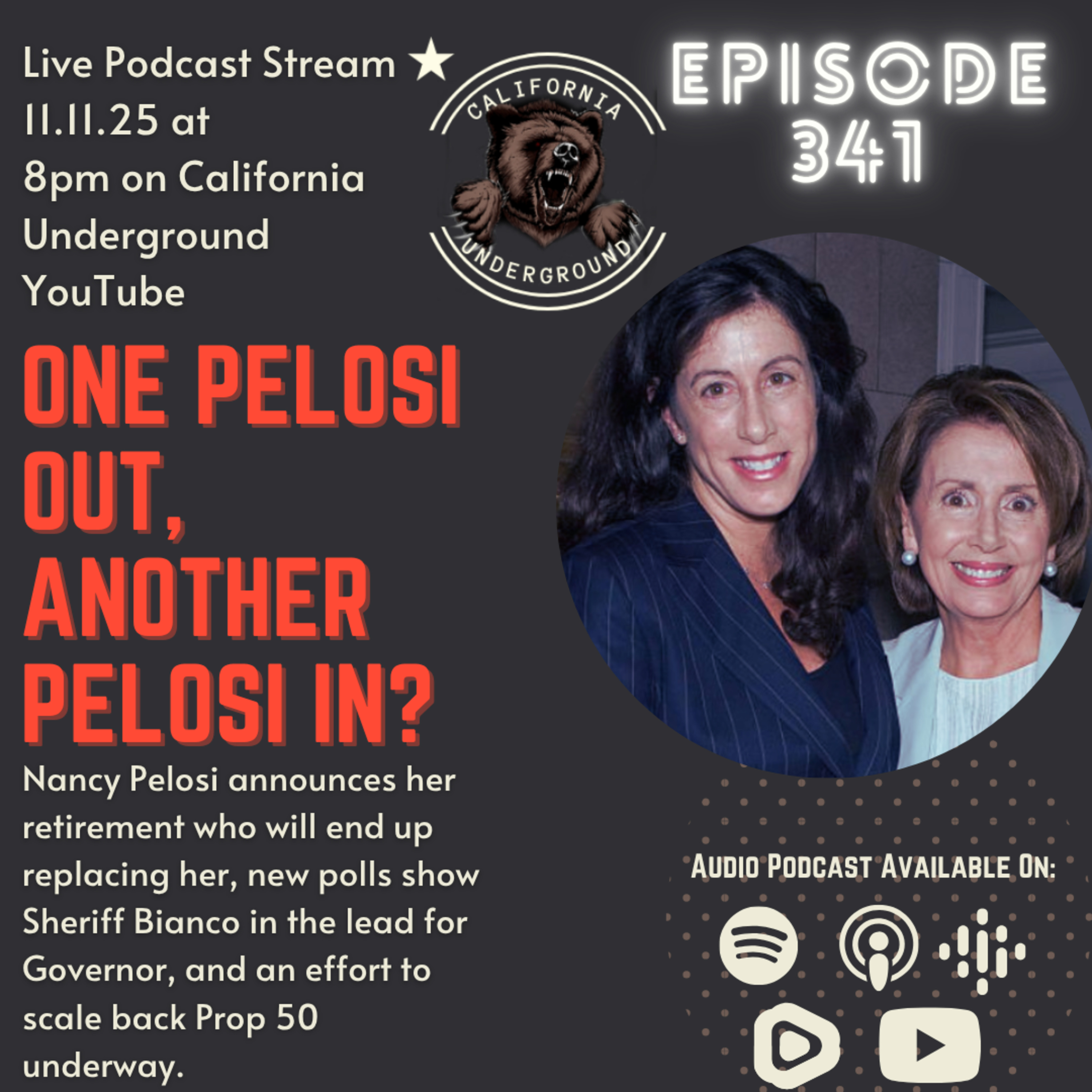 One Pelosi OUT, Another Pelosi IN?