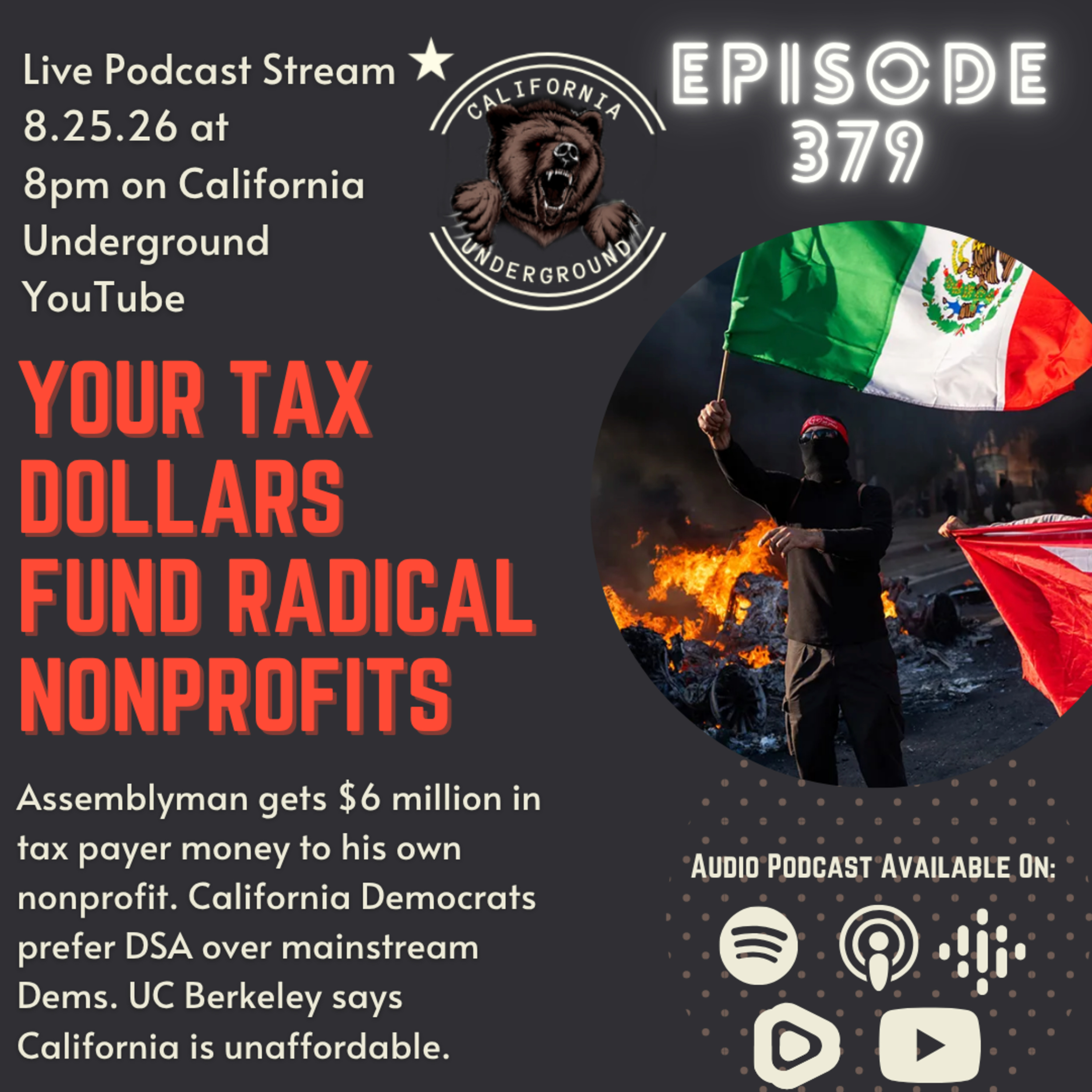 Your Tax Dollars Fund Radical Nonprofits episode artwork