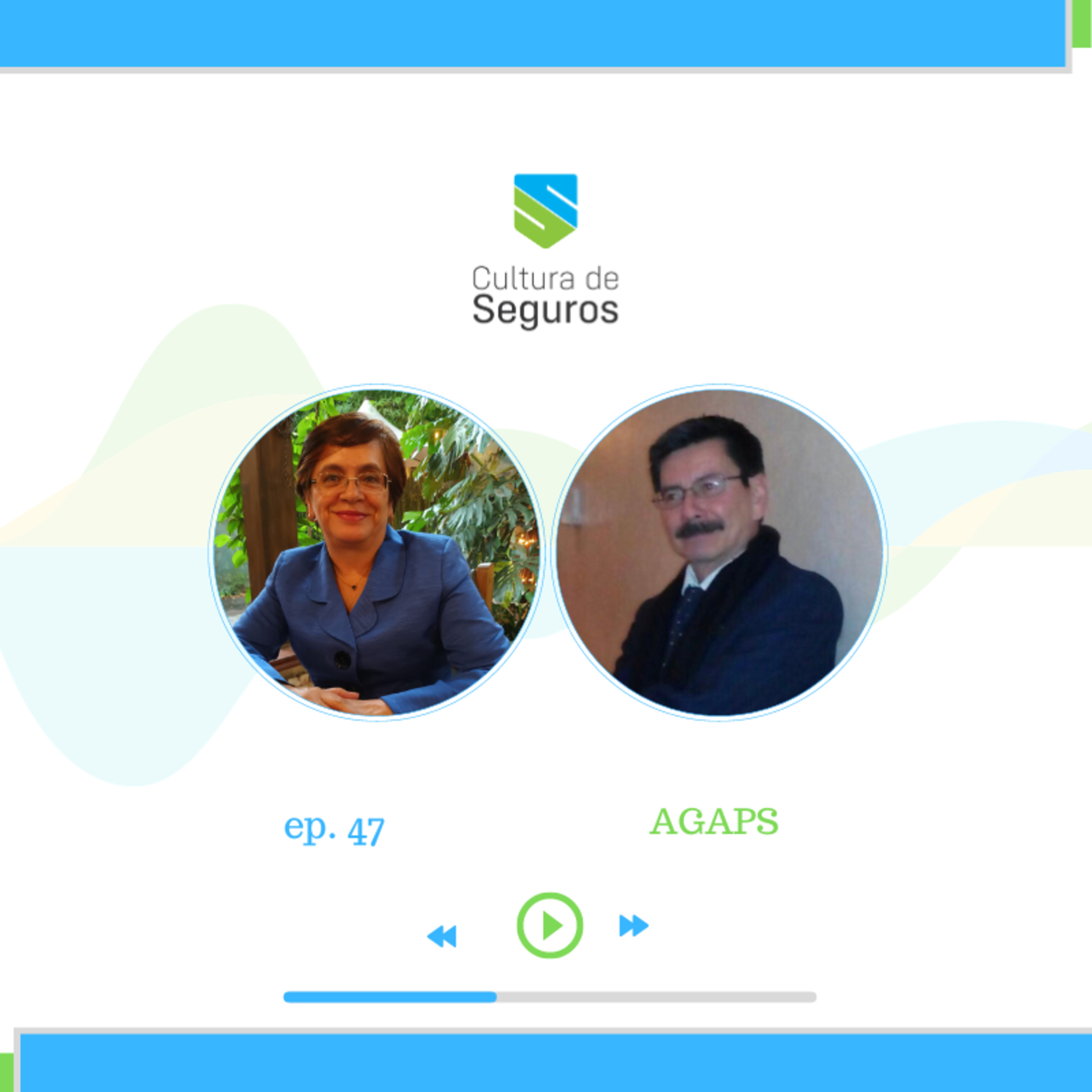 Cultura de Seguros