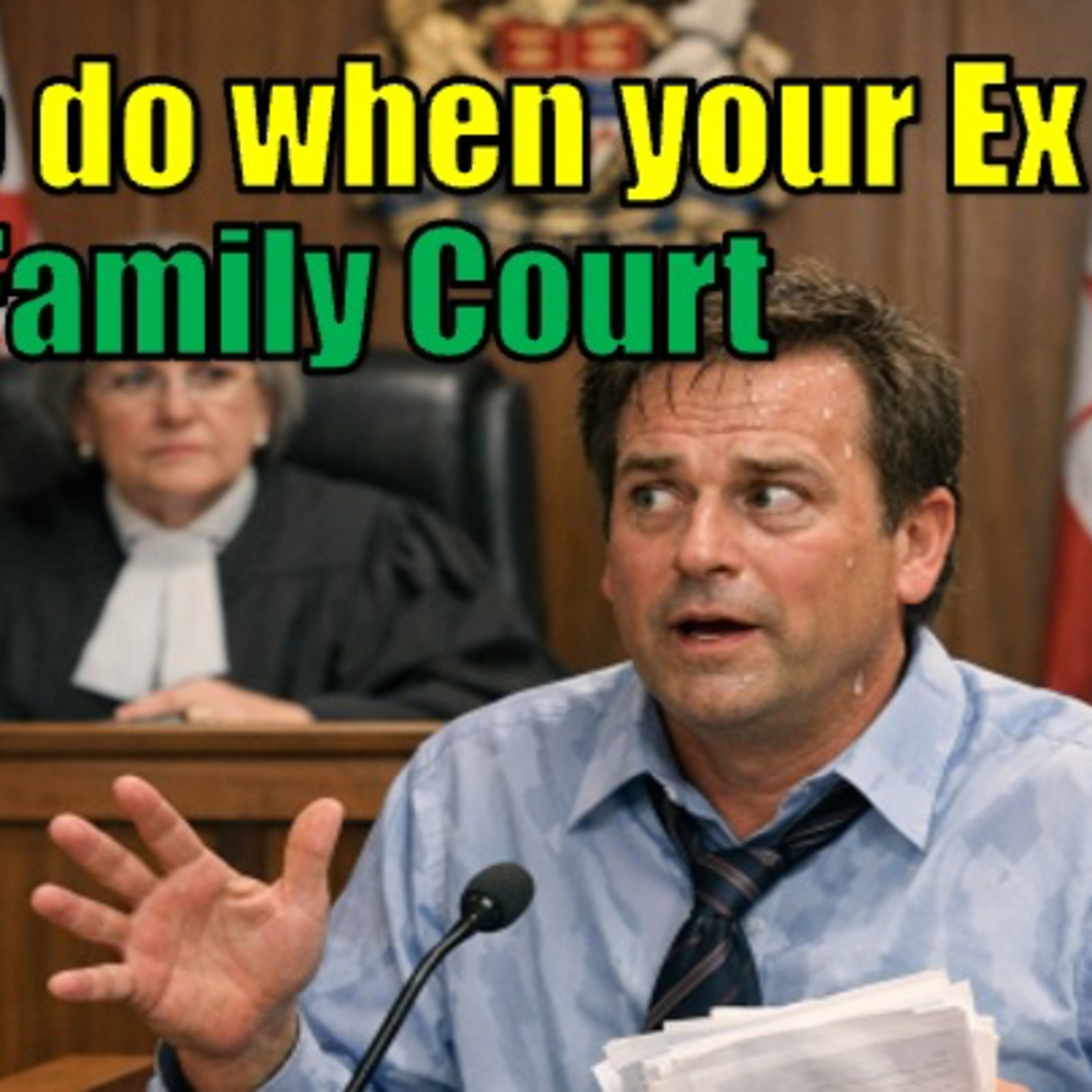 What To Do When Your Ex Lies in Family Court