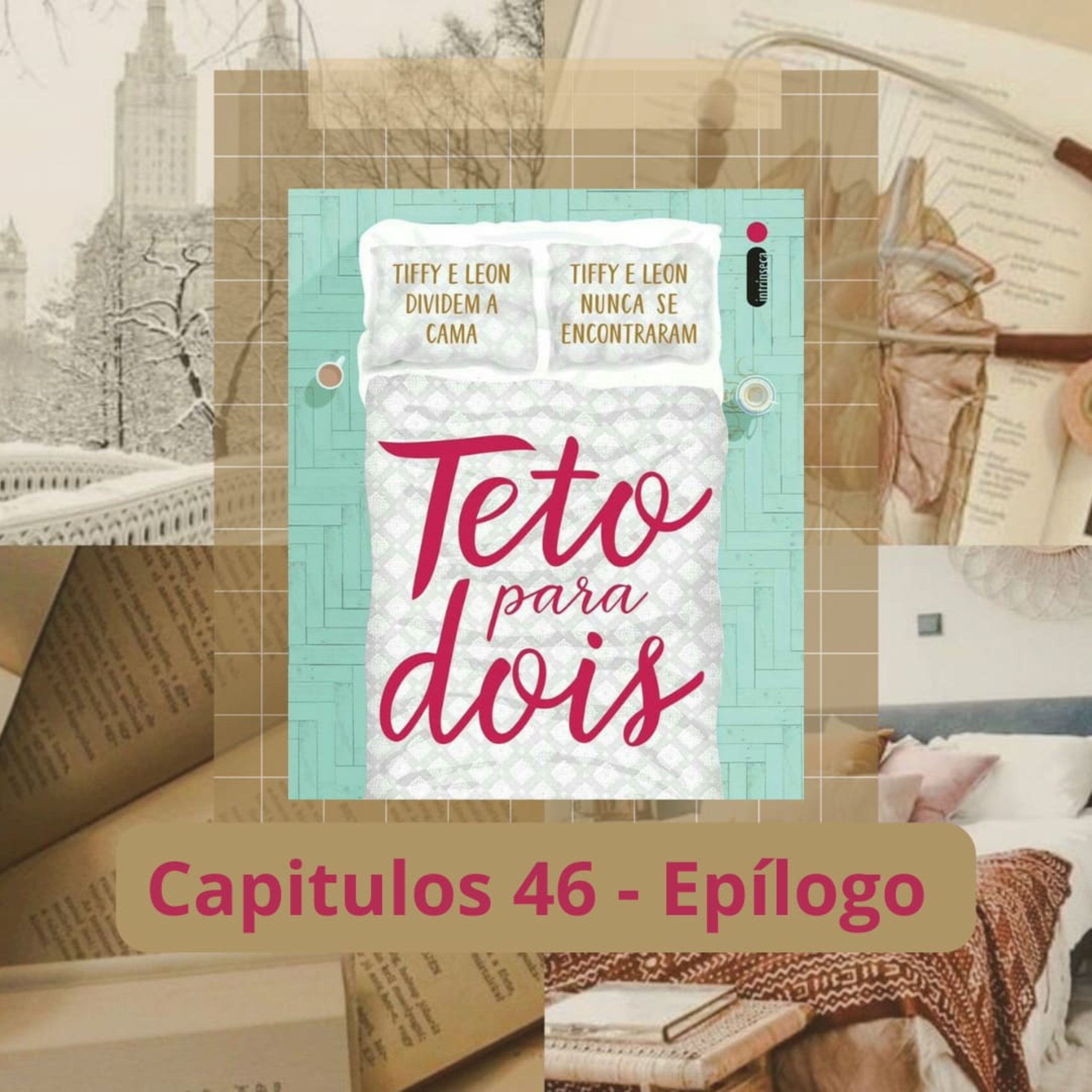 (AudioLivro Audiobook) - Teto para dois - Capítulo 46 e Epílogo / PARTE 2