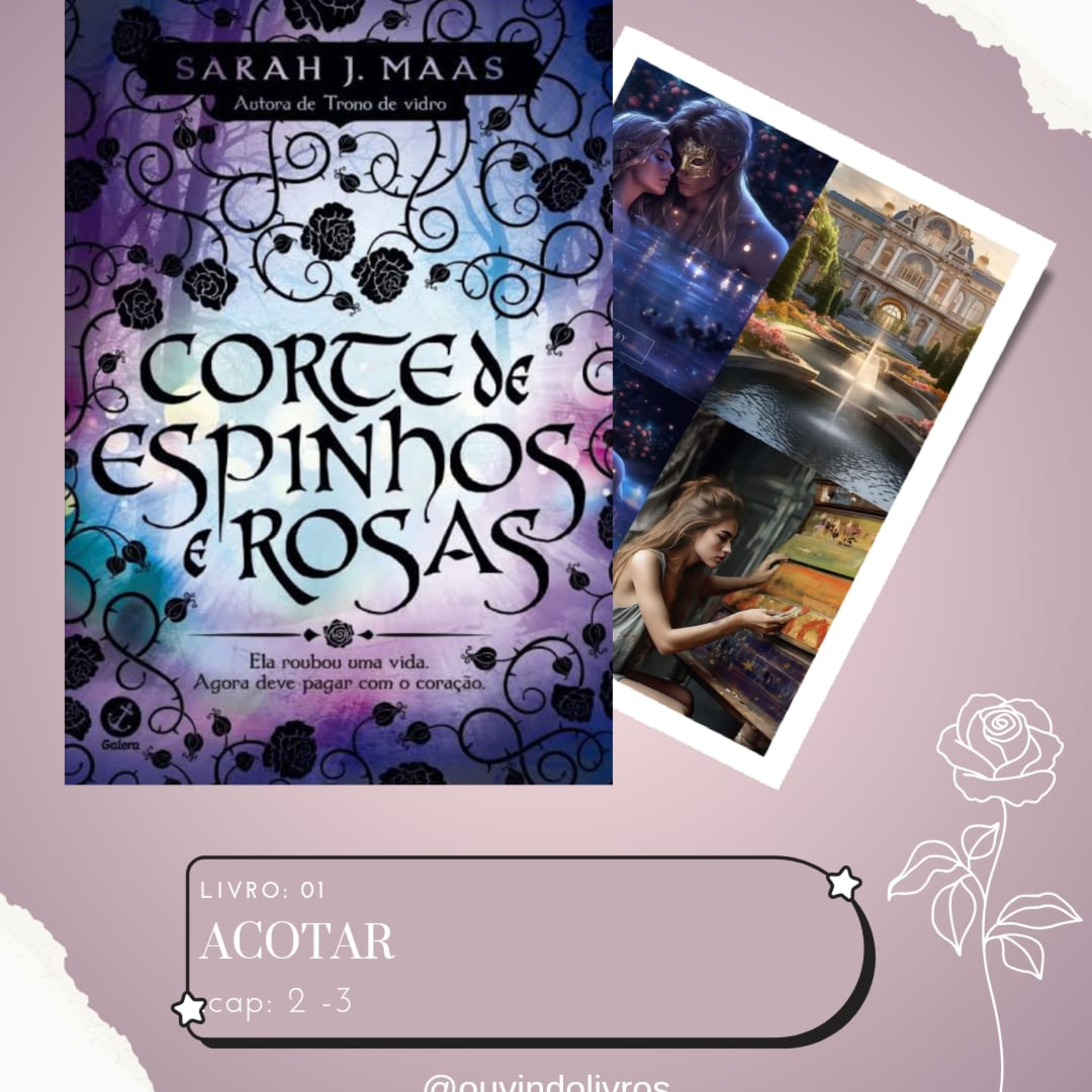 +16 (AudioLivro Audiobook) - A.C.O.T.A.R - Corte de Espinhos e Rosas - Capítulo 02 e 03 - AVISO