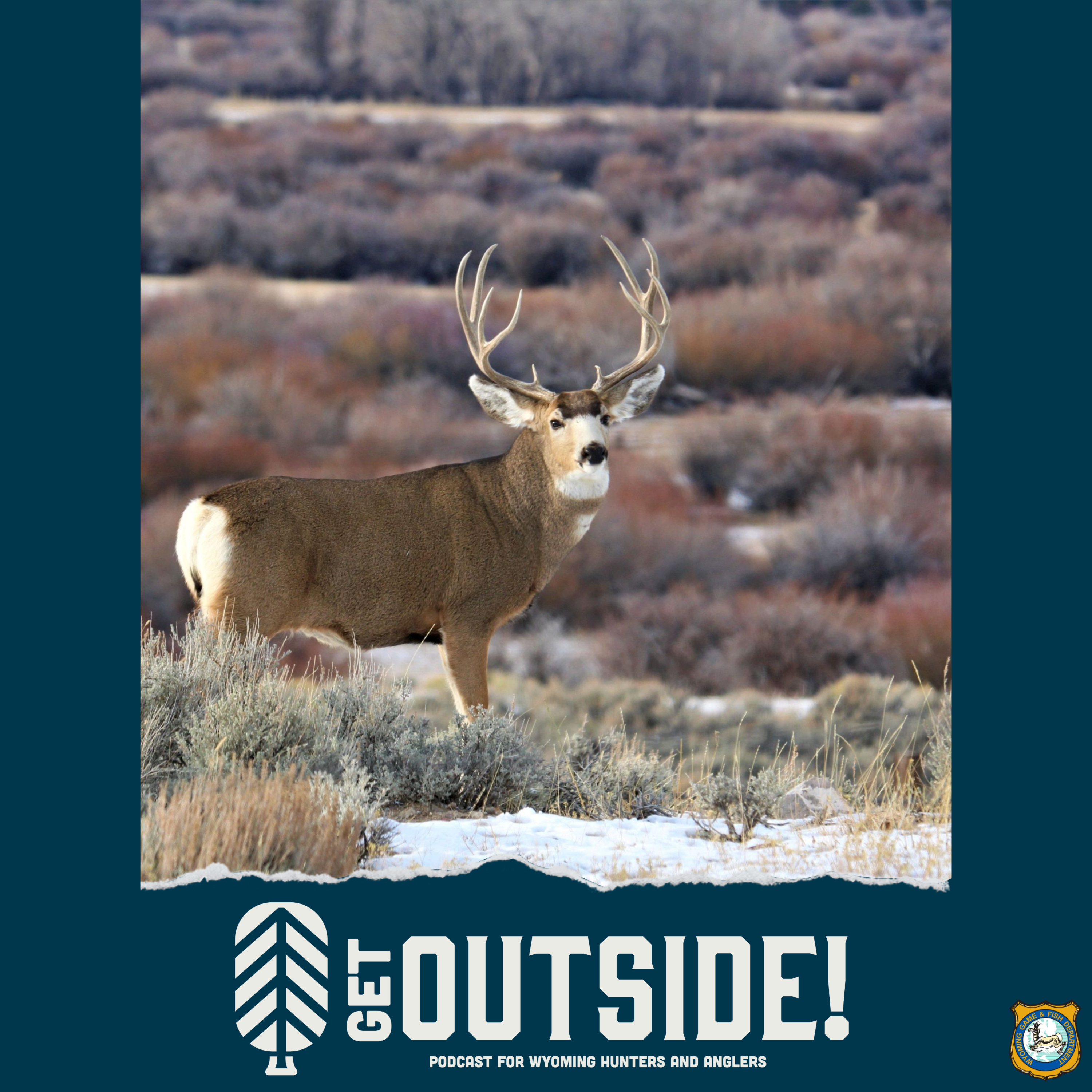 Upper Powder River Mule Deer Study episode artwork