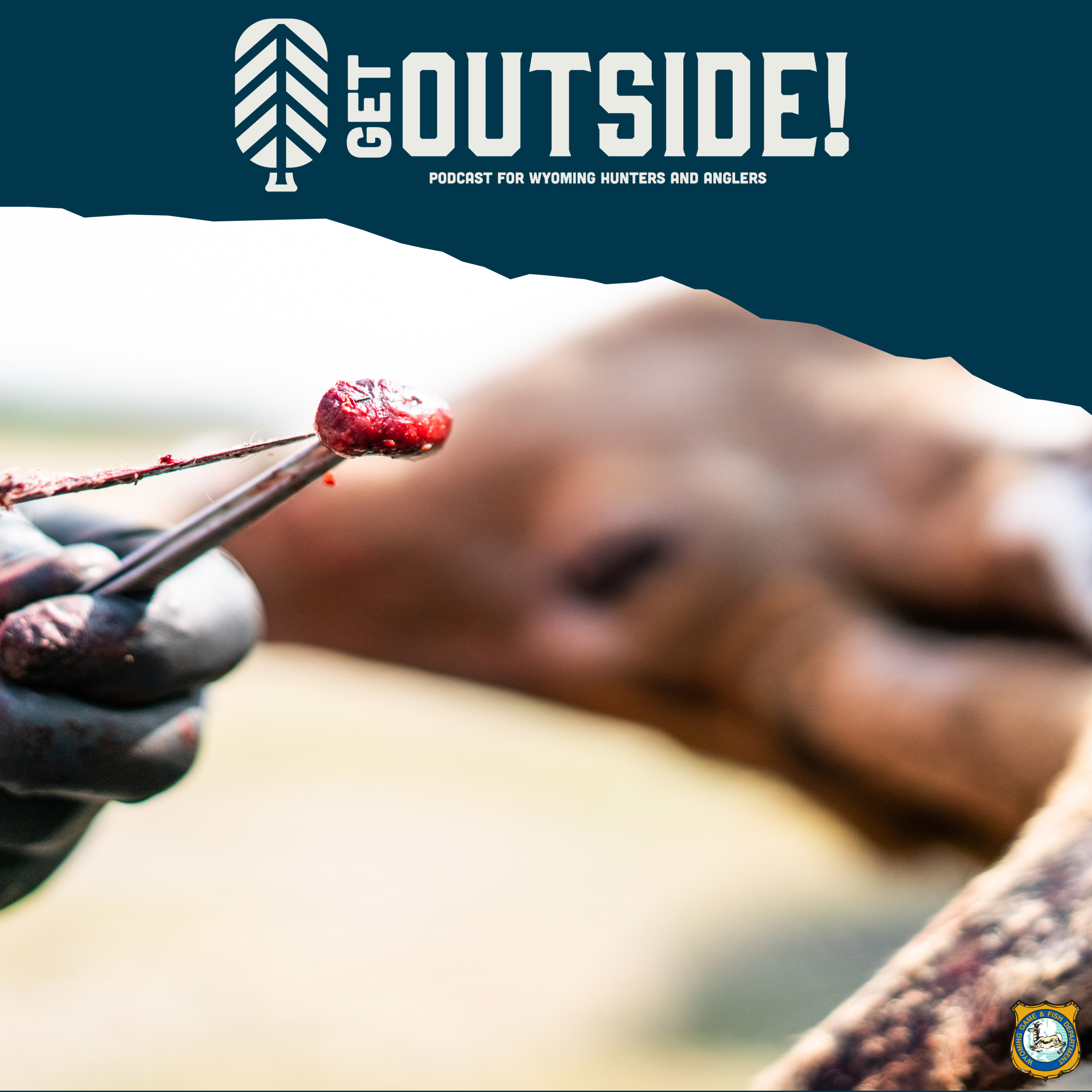 Wyoming Game and Fish answers CWD questions from the public episode artwork