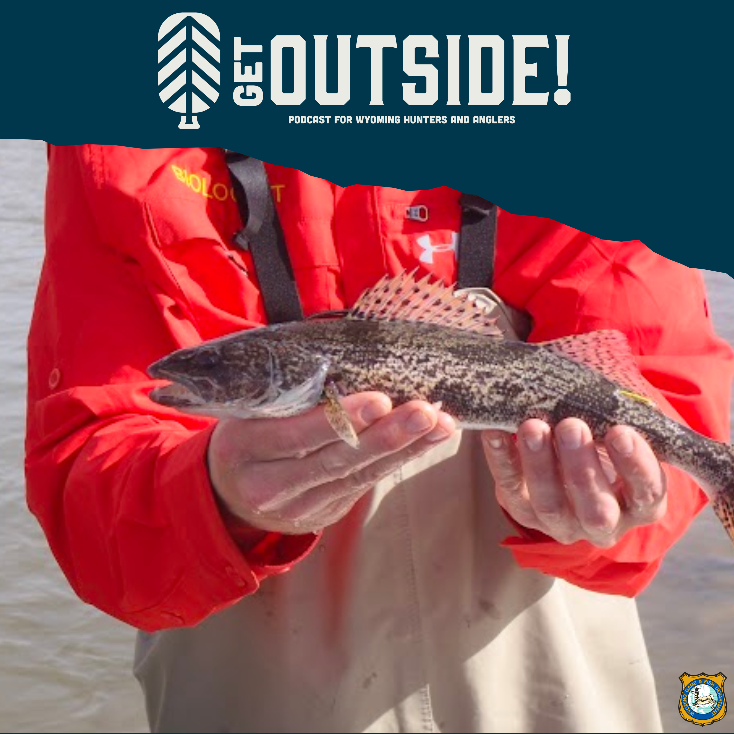 Sauger in Wyoming episode artwork