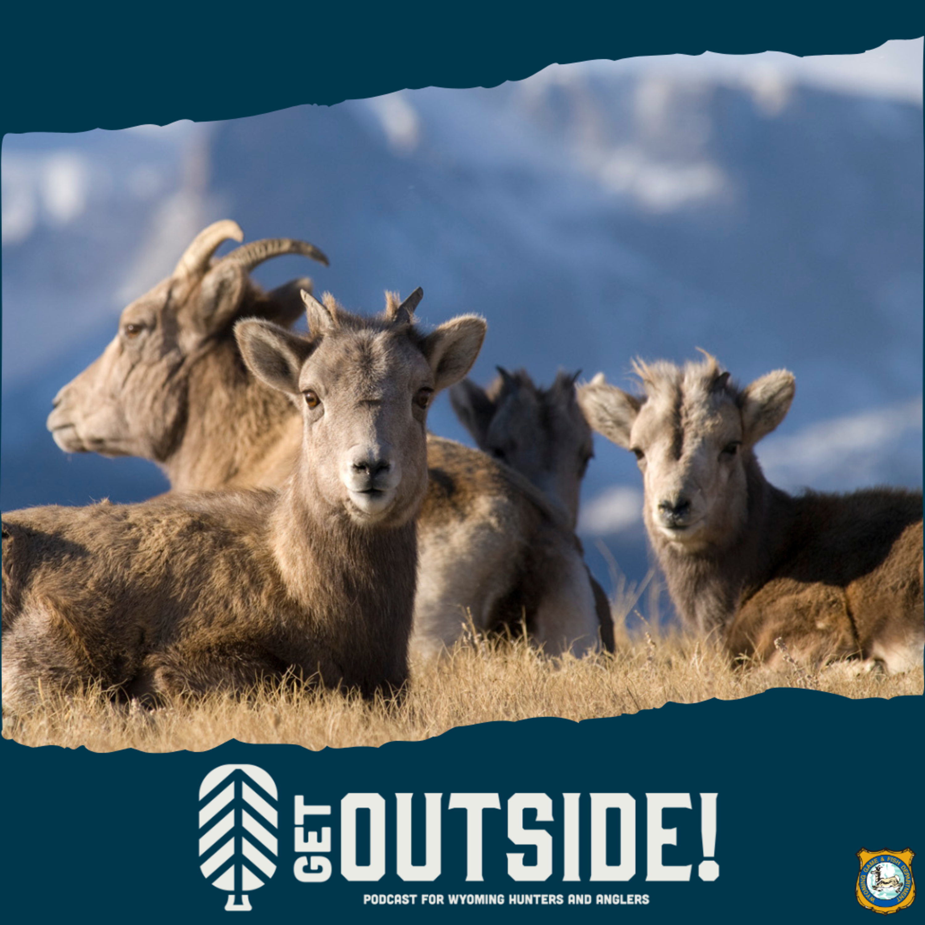 Bighorn Sheep Ewe Hunting episode artwork