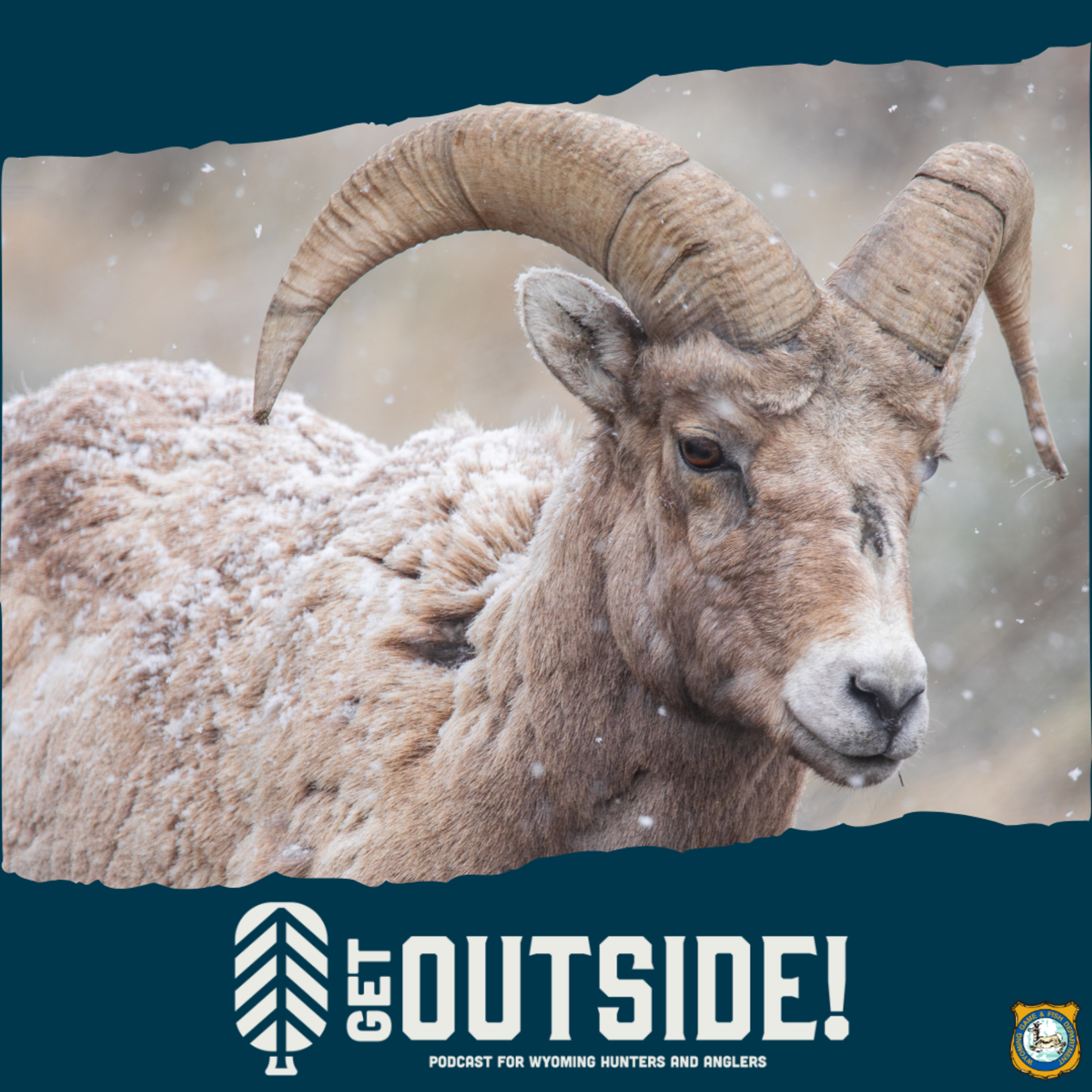 Outdoor Photography Basics episode artwork