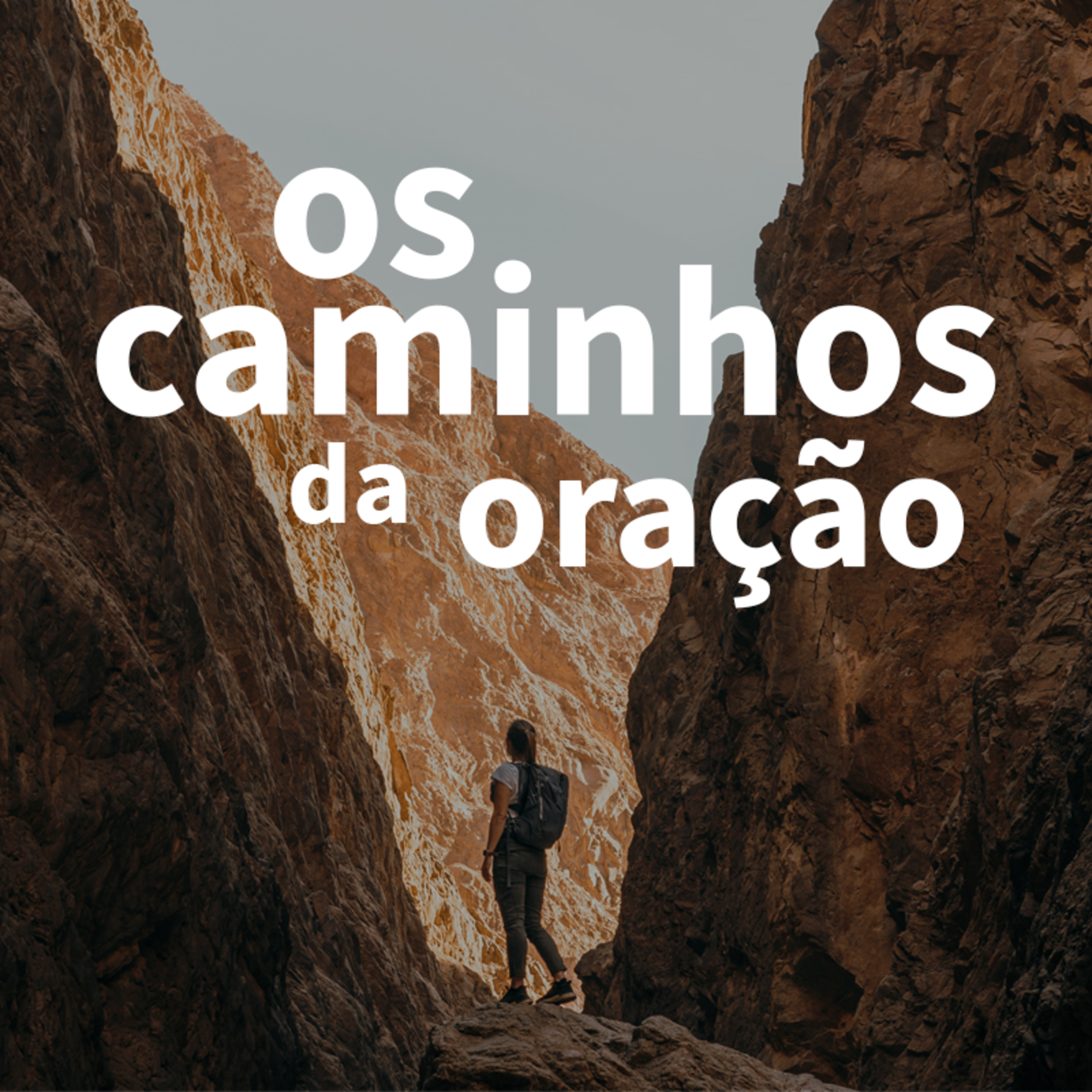 IPI Vila Sônia