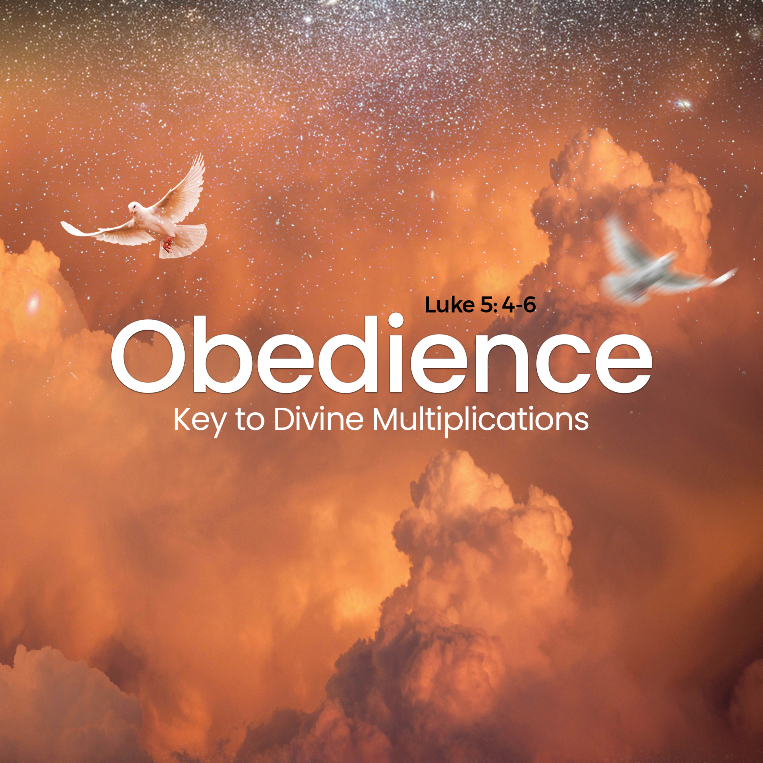 EMPOWERMENT FOR DIVINE MULTIPLICATIONS: KEY OF DISCERNMENT - Rev Peter Ameadaji (JUNE 4, 2023) episode artwork
