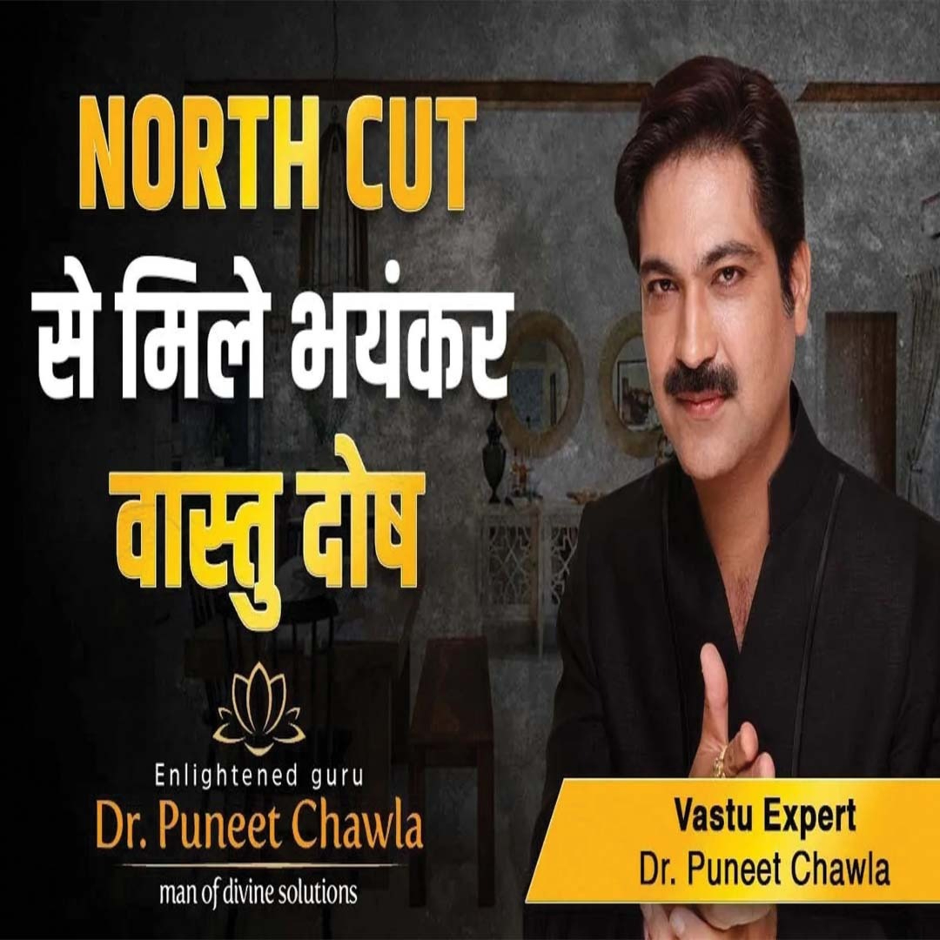 World Famous Vastu Expert Dr Puneet Chawla