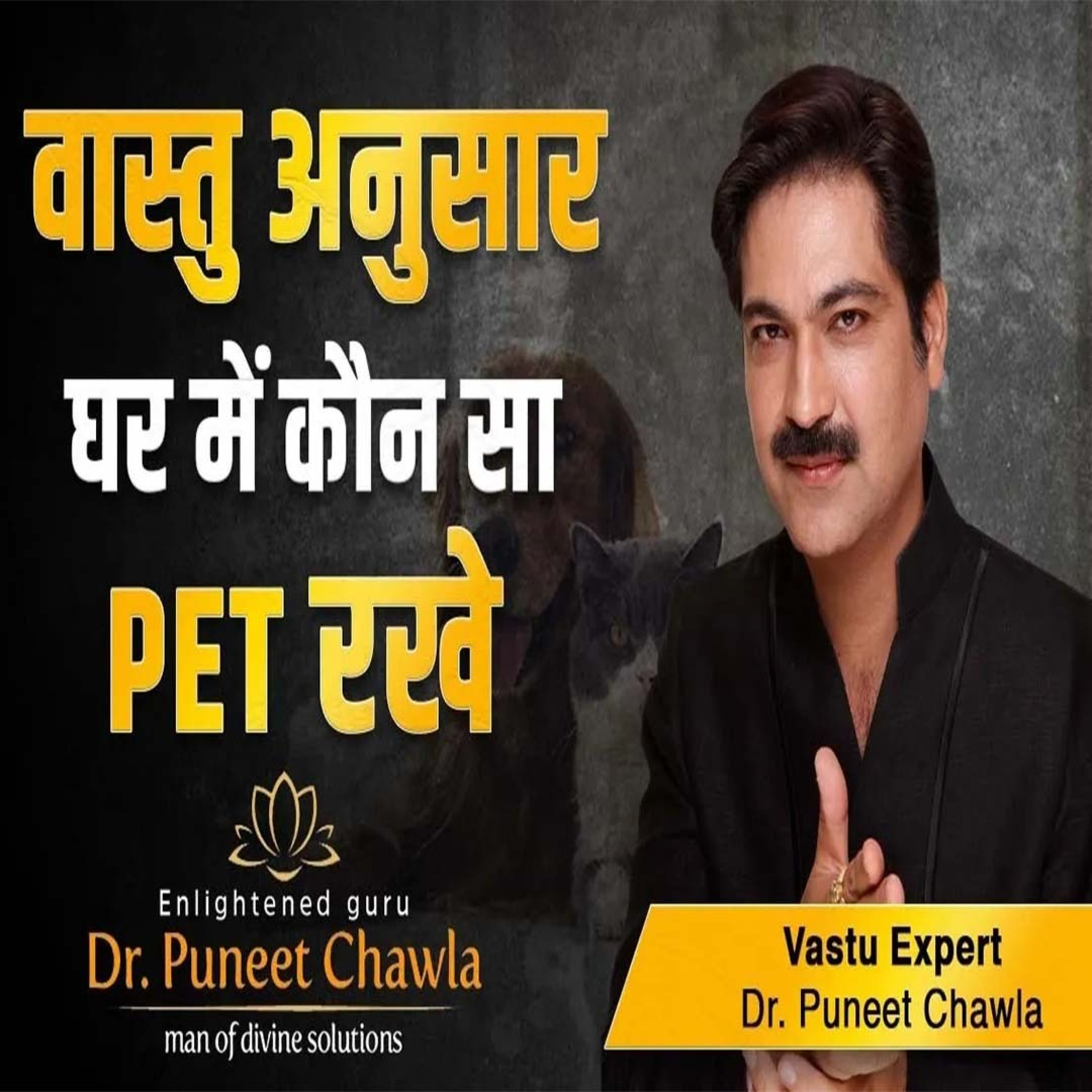 World Famous Vastu Expert Dr Puneet Chawla