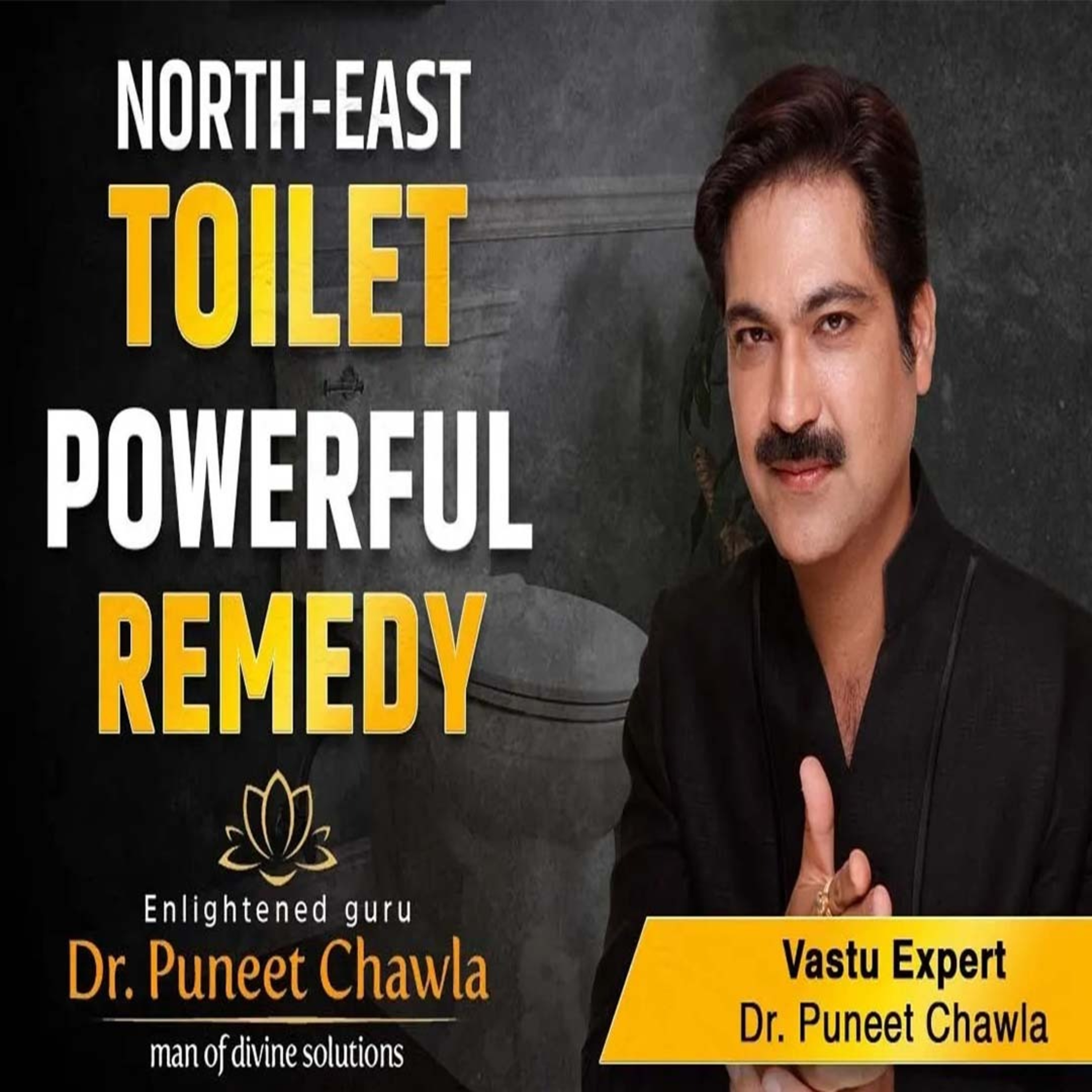 World Famous Vastu Expert Dr Puneet Chawla
