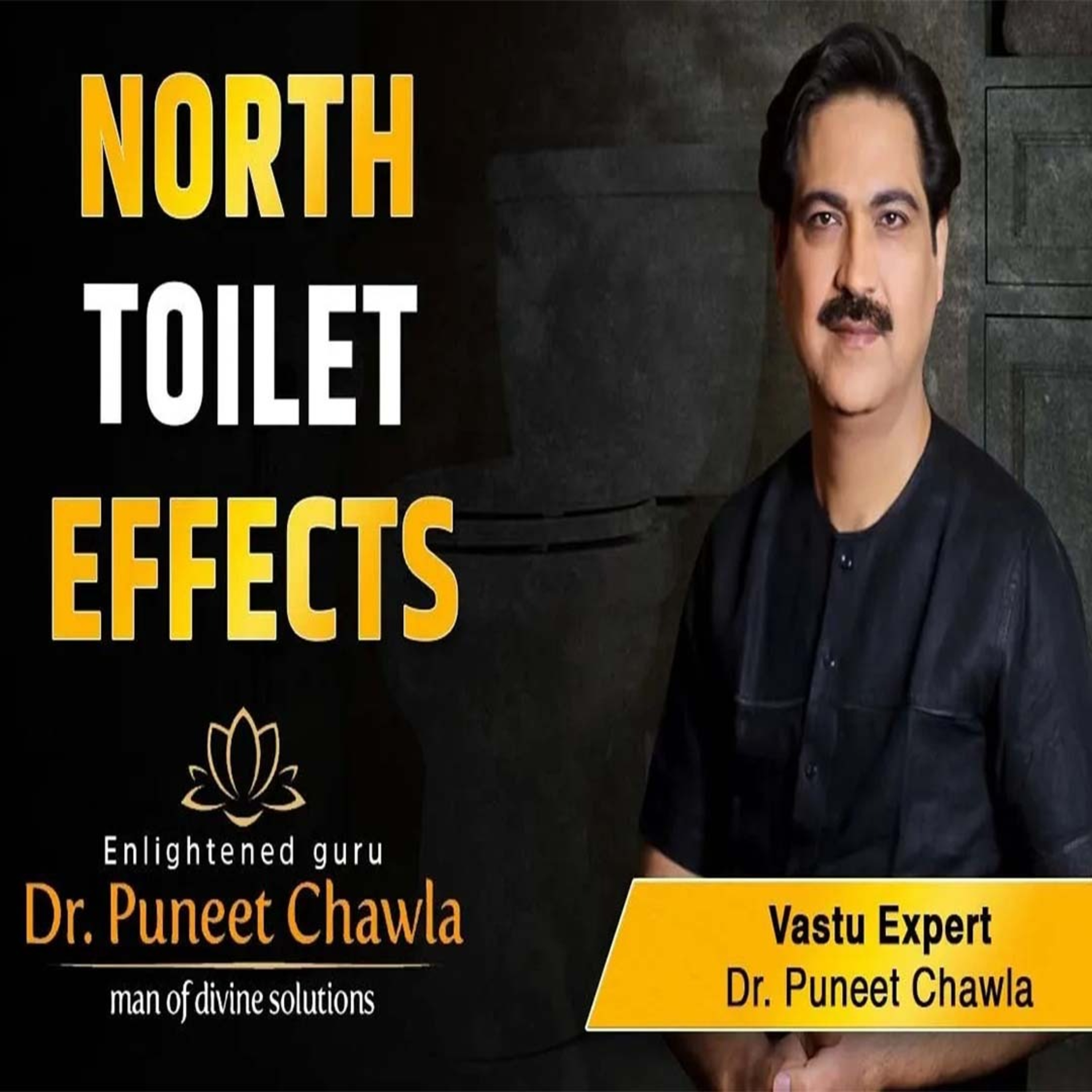 World Famous Vastu Expert Dr Puneet Chawla
