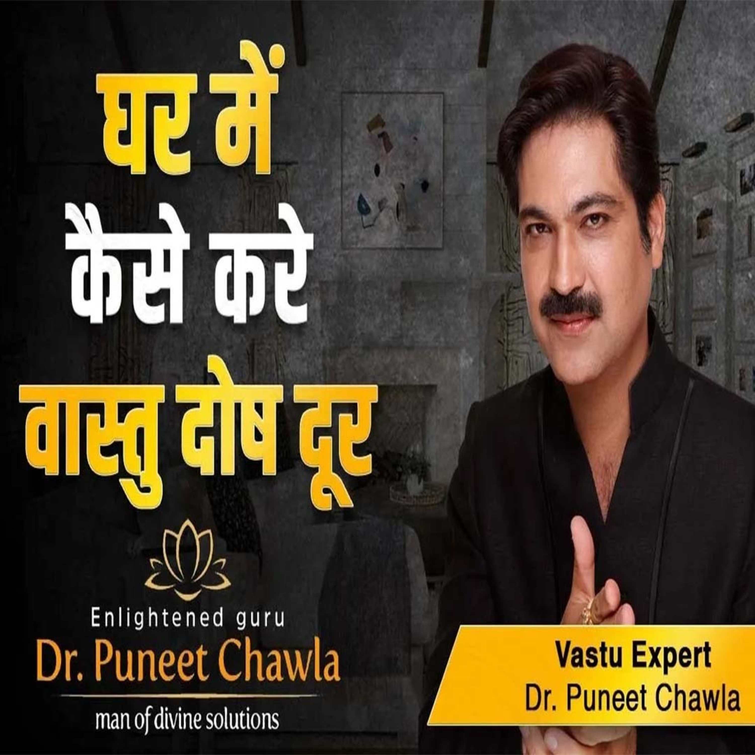World Famous Vastu Expert Dr Puneet Chawla
