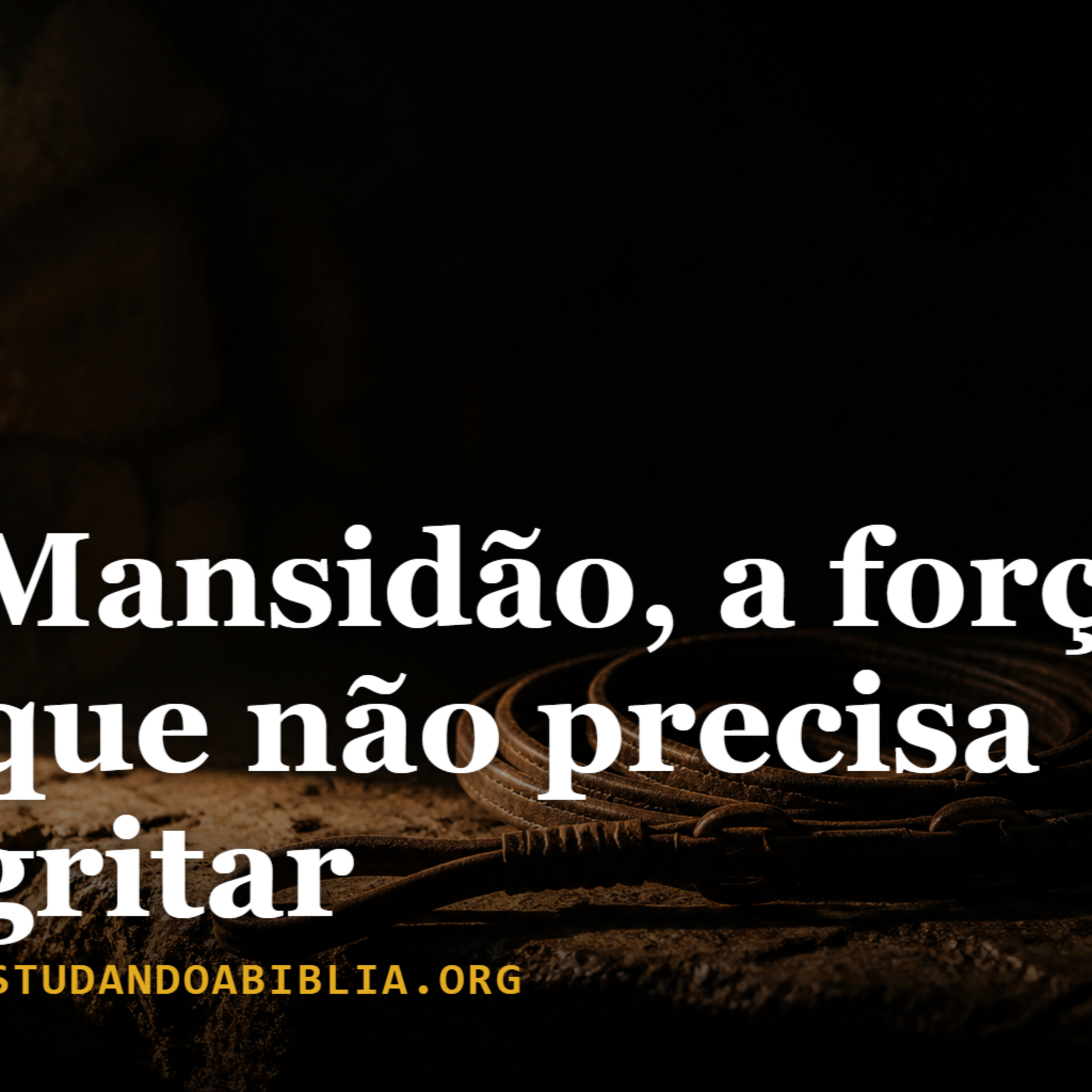 Dia 2: Mansidão, a força que não precisa gritar (Mateus 5:5) episode artwork