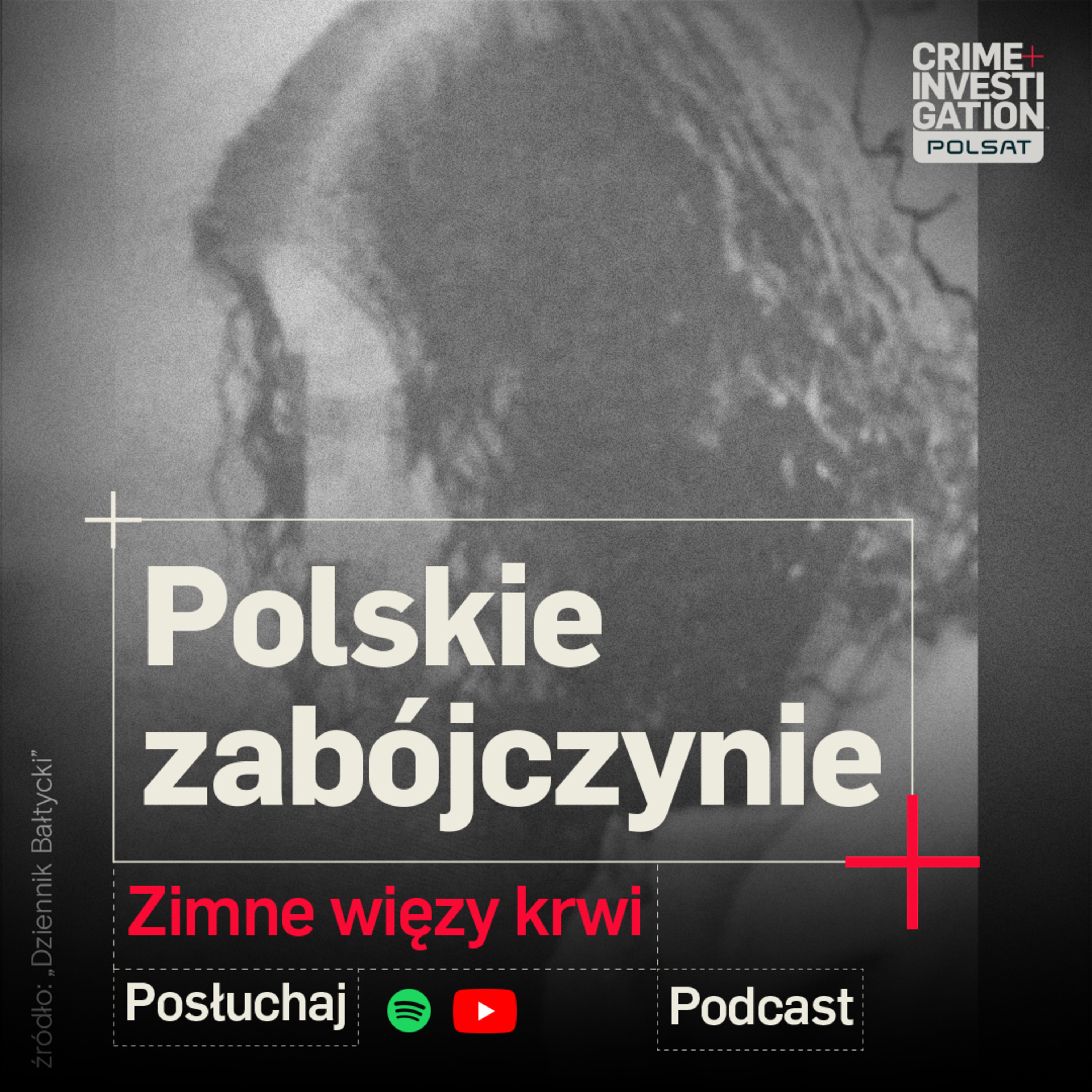 🎙 POLSKIE ZABÓJCZYNIE | Zimne Więzy Krwi| PODCAST