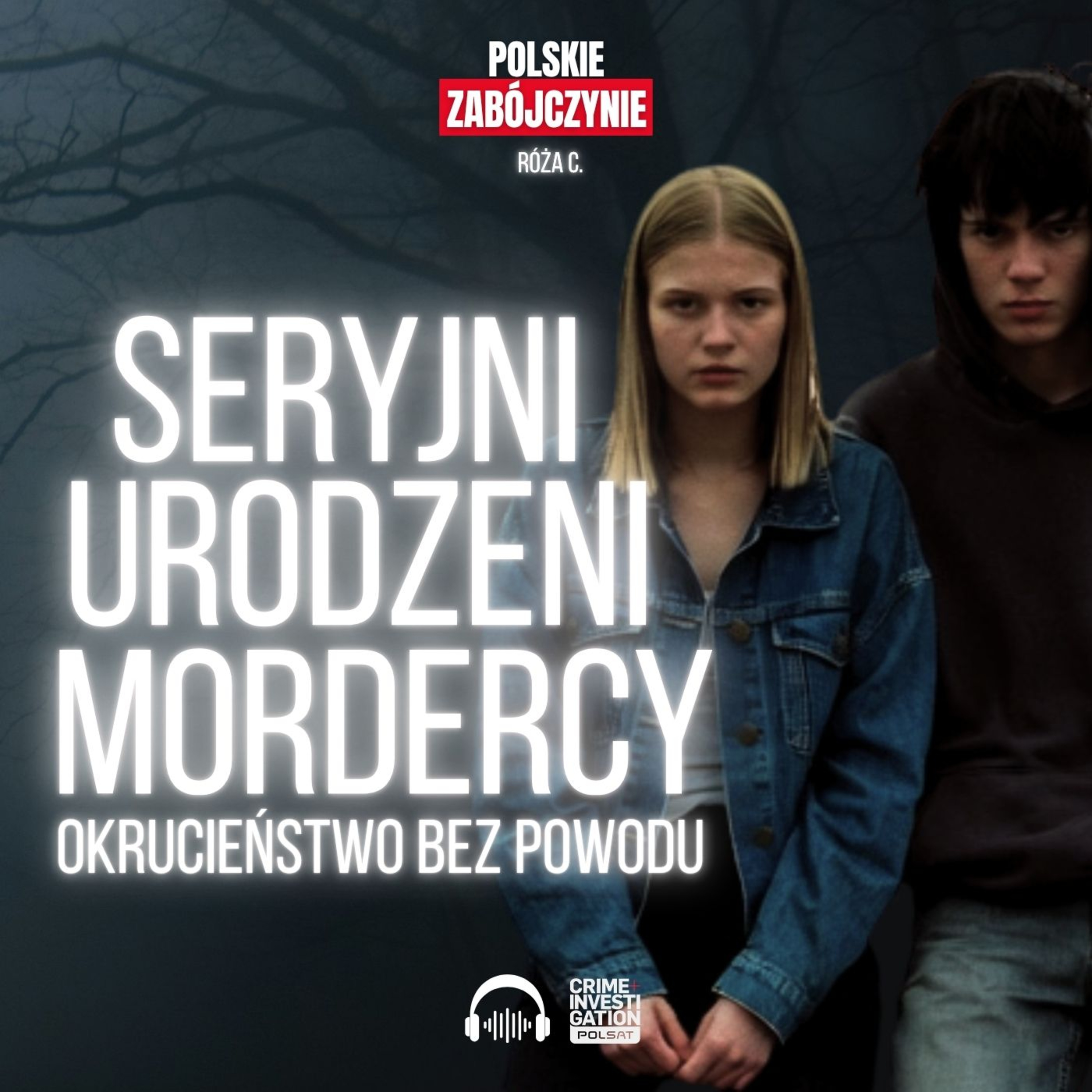 🎙 Pili i zabijali bez powodu | POLSKIE ZABÓJCZYNIE | PODCAST episode artwork