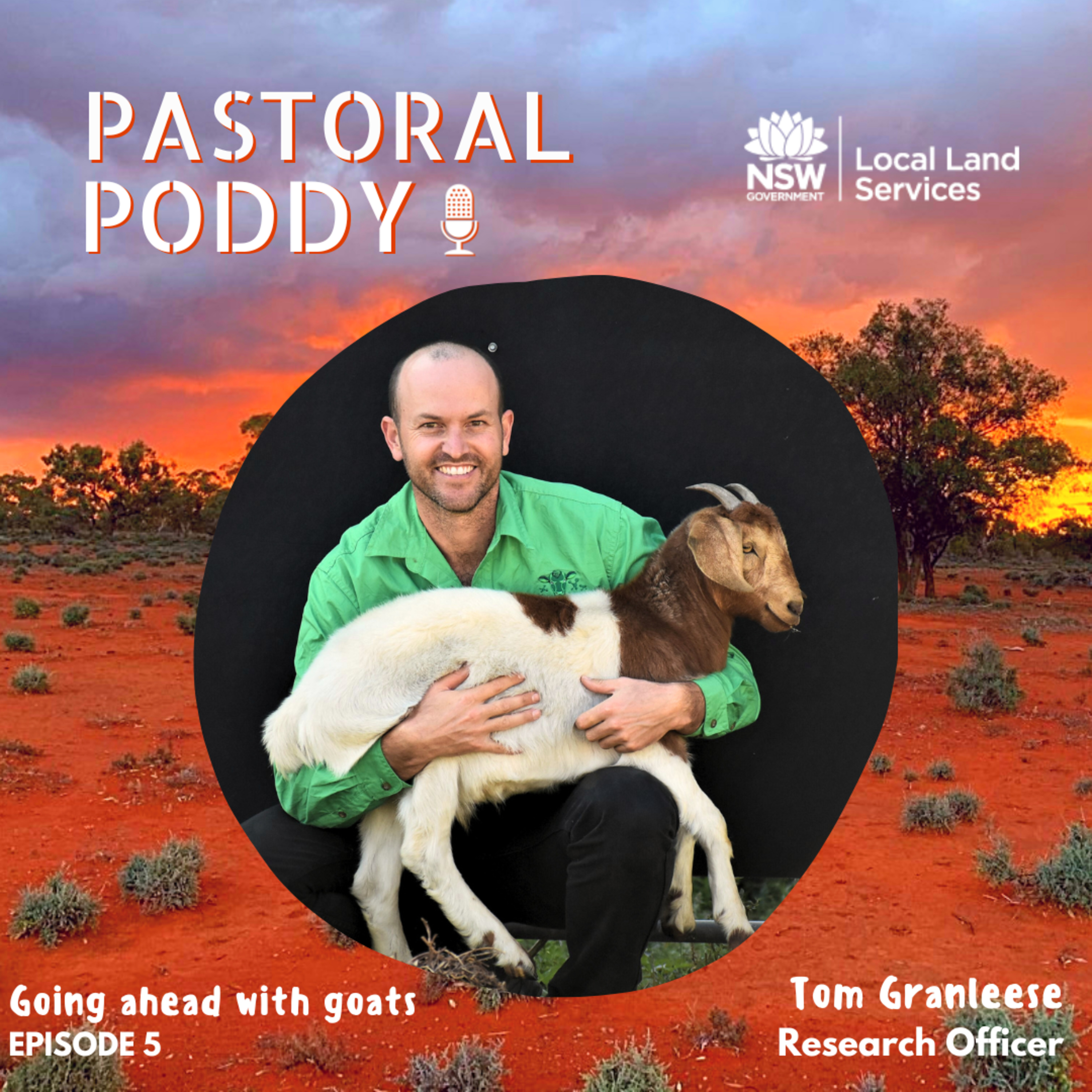 Goat Series: EP 5 - Genetic selection of goats using data - with Dr. Tom Granleese