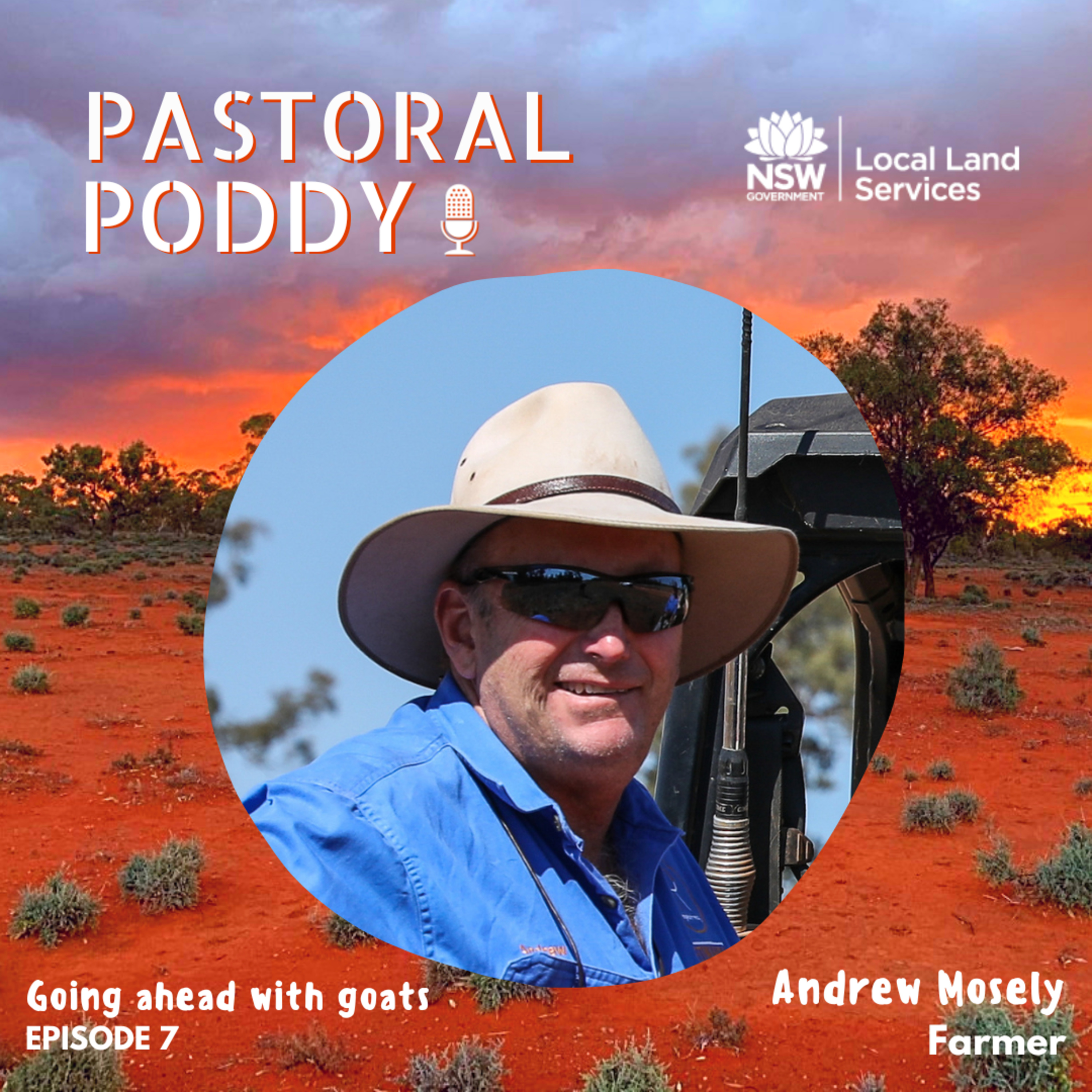 Goat Series: Ep 7 - Improving rangeland goats genetics and the landscape - with Andrew Mosely