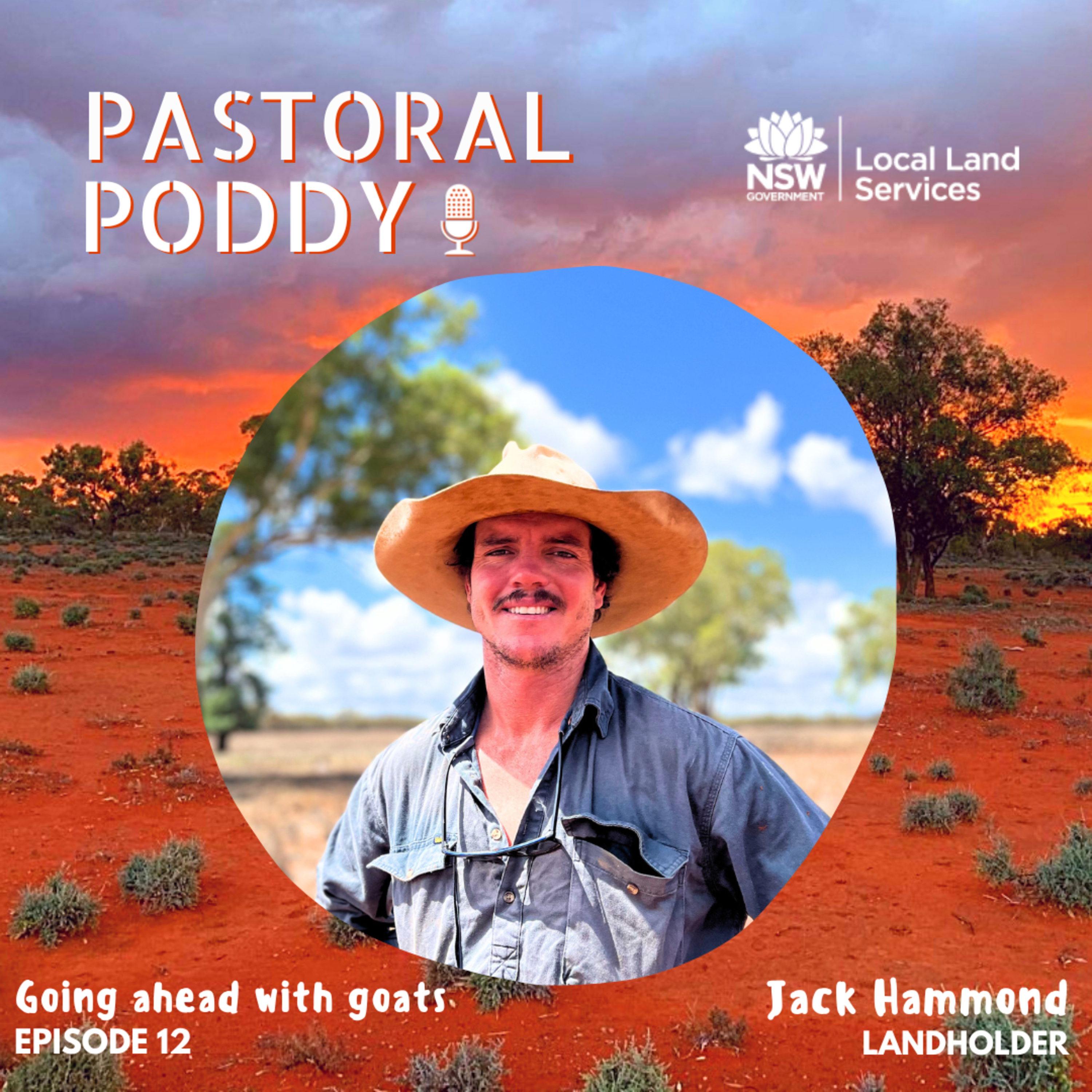 Goat Series: Ep 12 - Embracing Opportunities through Goat Trading with Jack Hammond