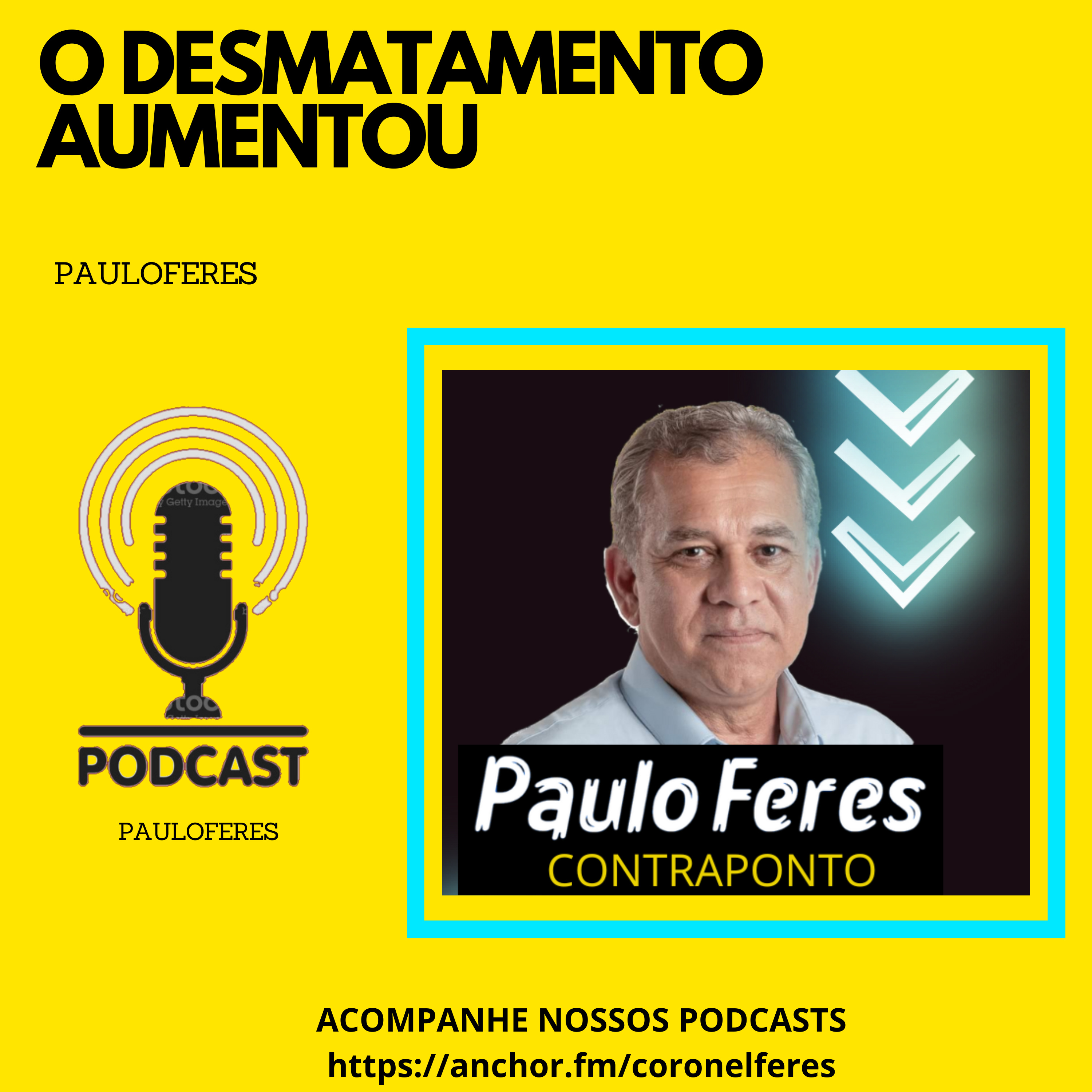 O DESMATAMENTO AUMENTOU episode artwork