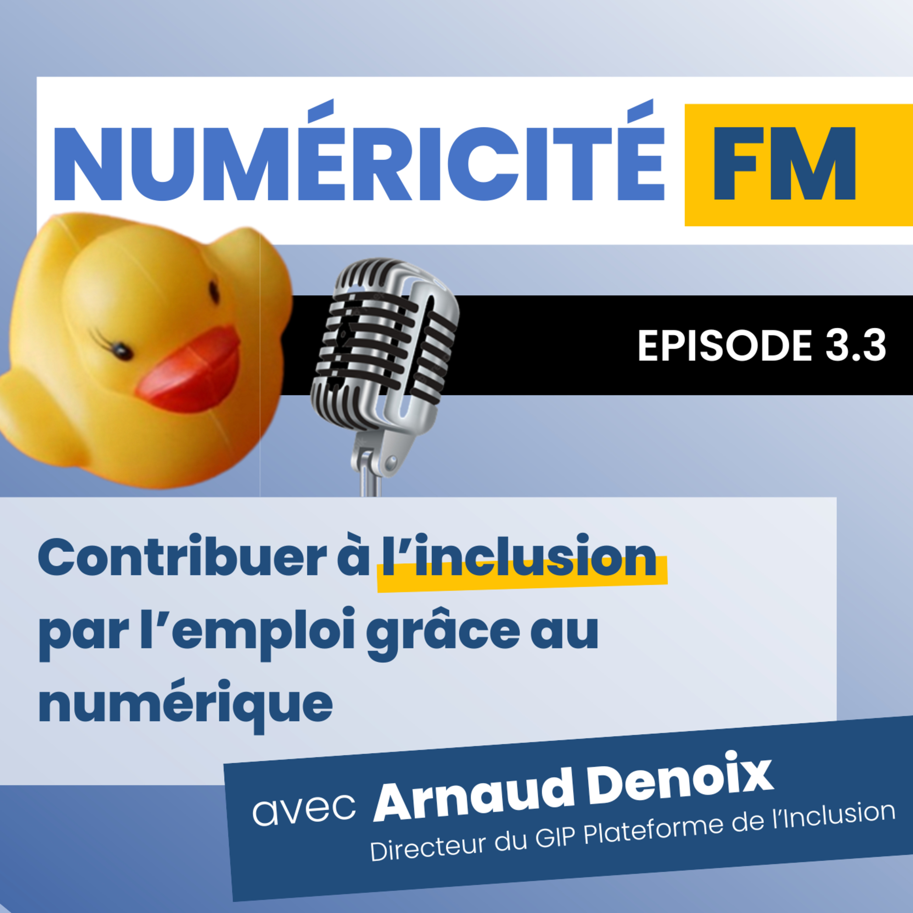 Contribuer à l'inclusion par l'emploi grâce au numérique avec Arnaud Denoix