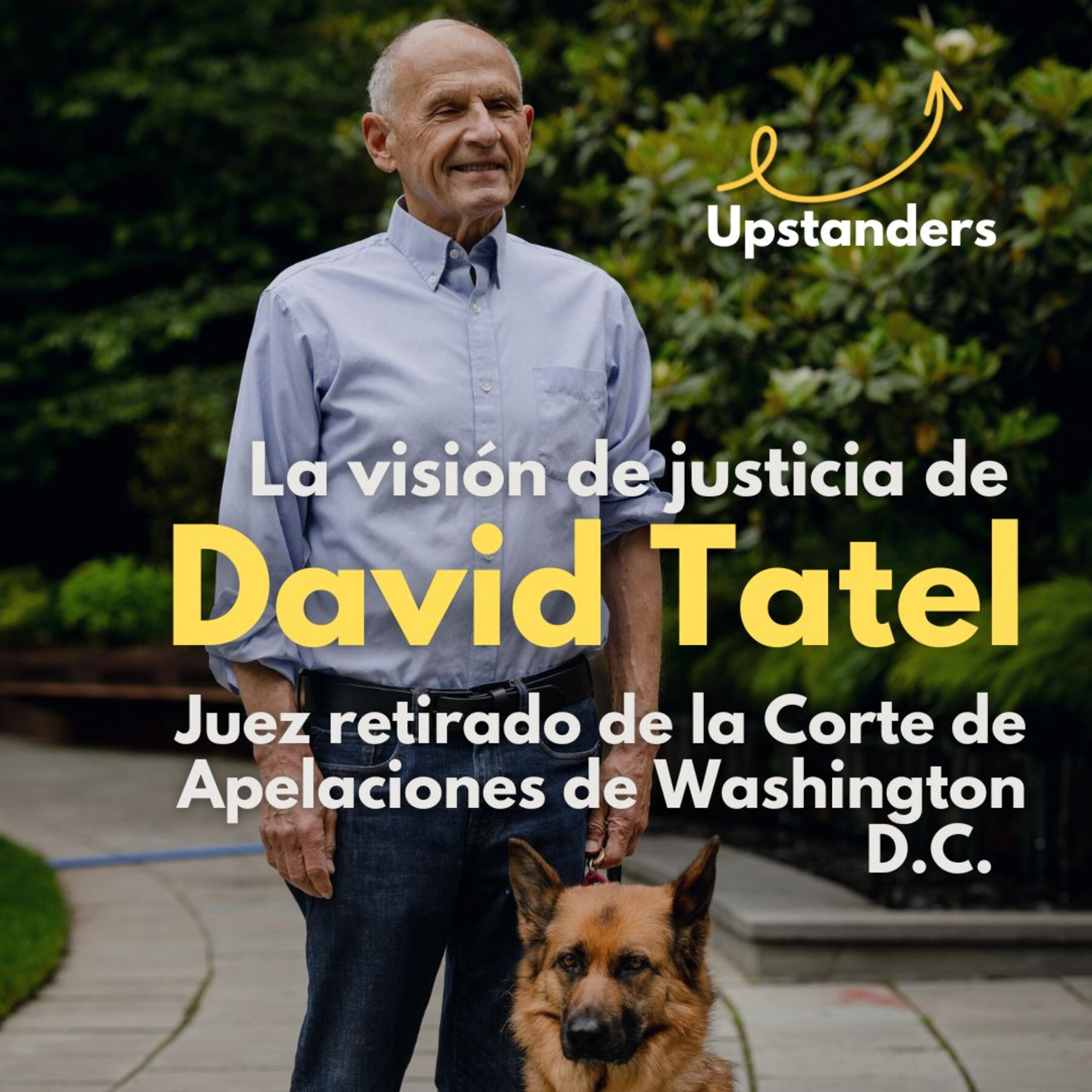 La visión de justicia de David Tatel