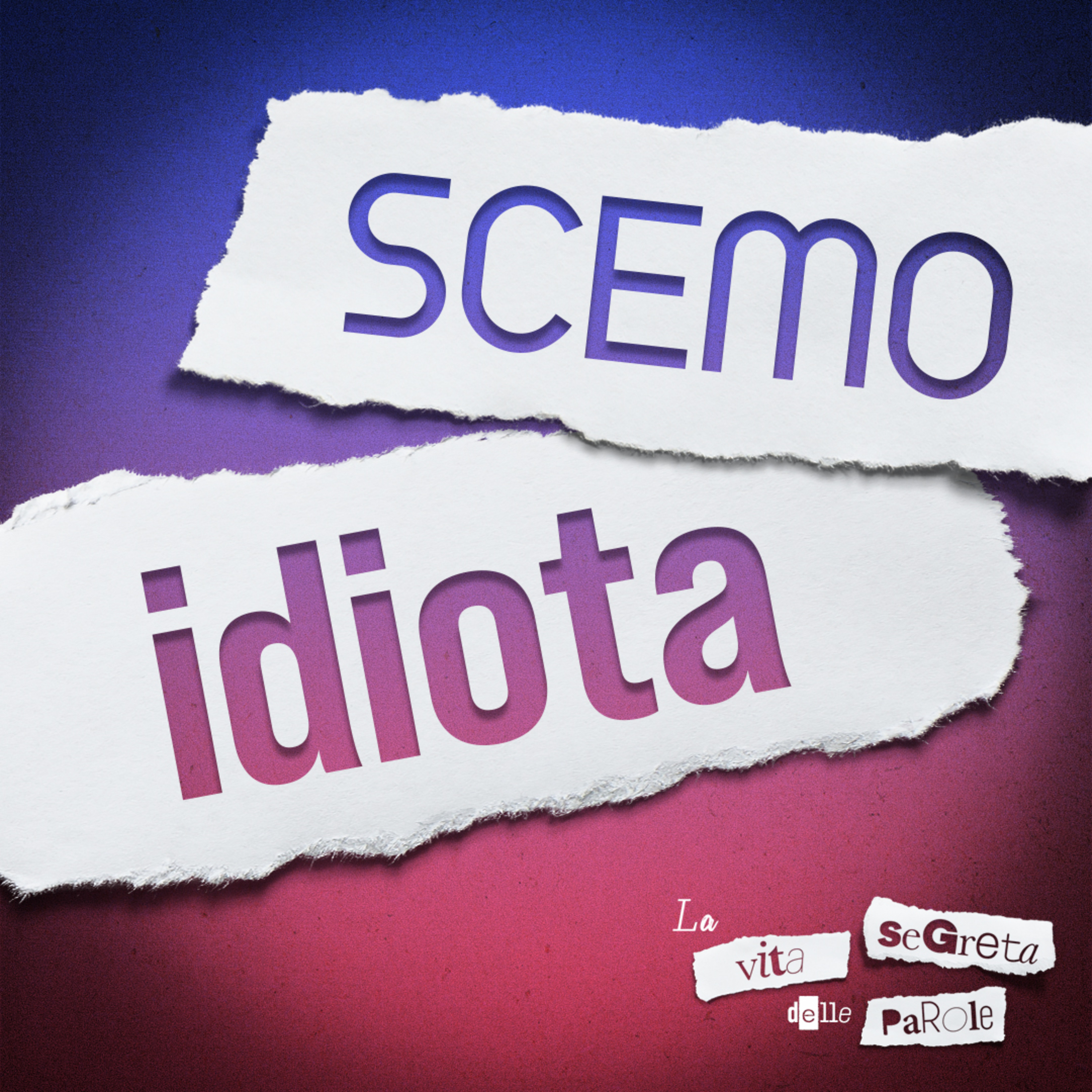 Scemo, idiota e insultometro