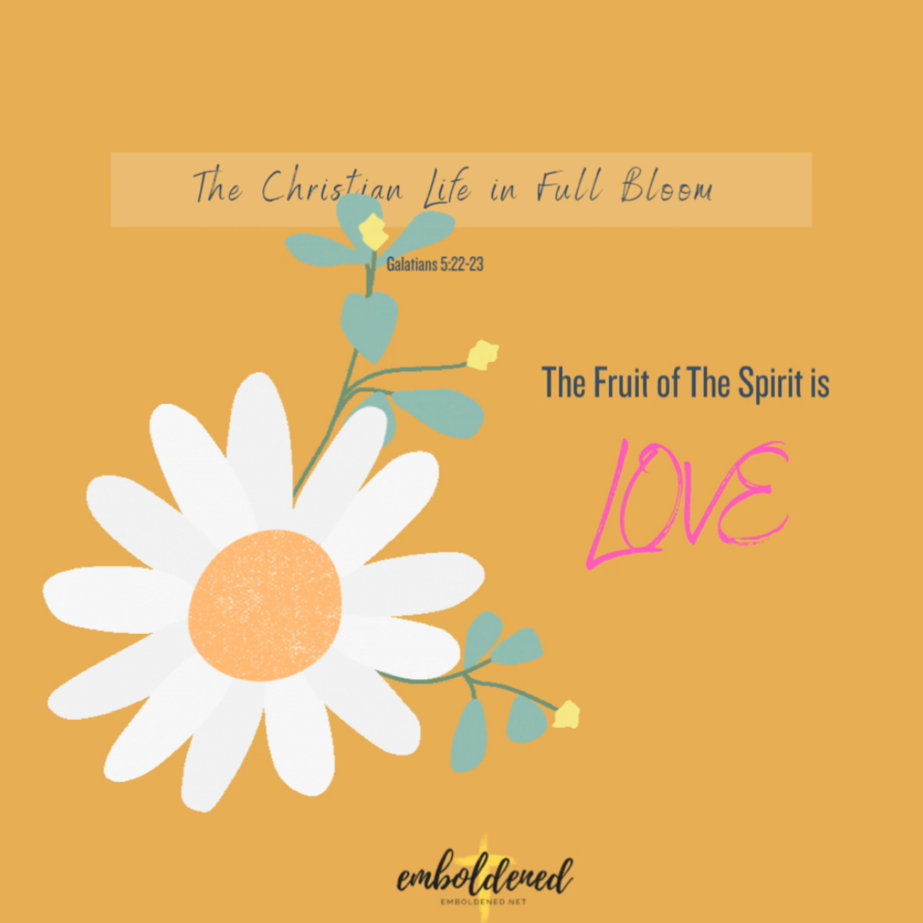 emboldened: Living a bold Christian life