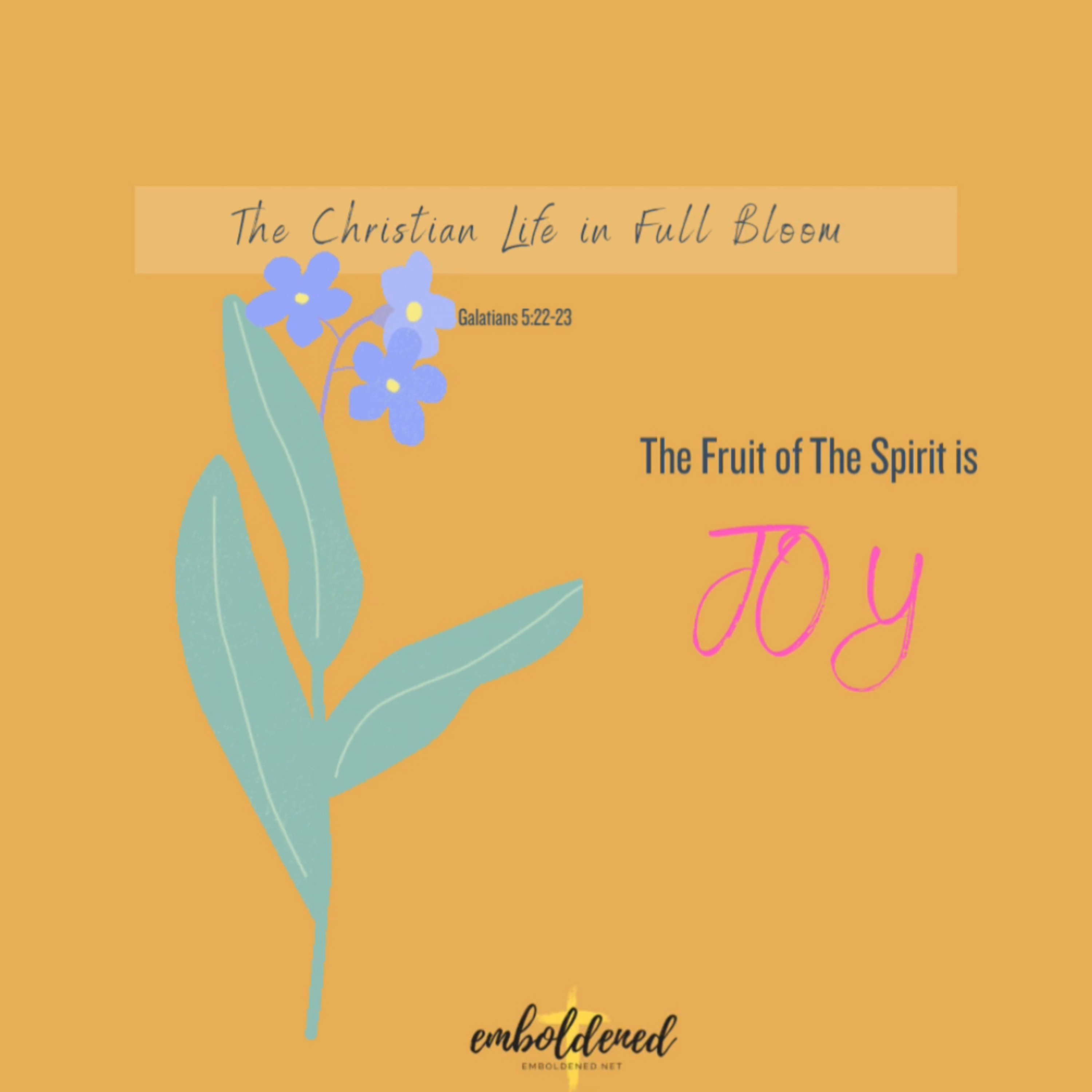 Fruit of the Spirit: Joy episode artwork