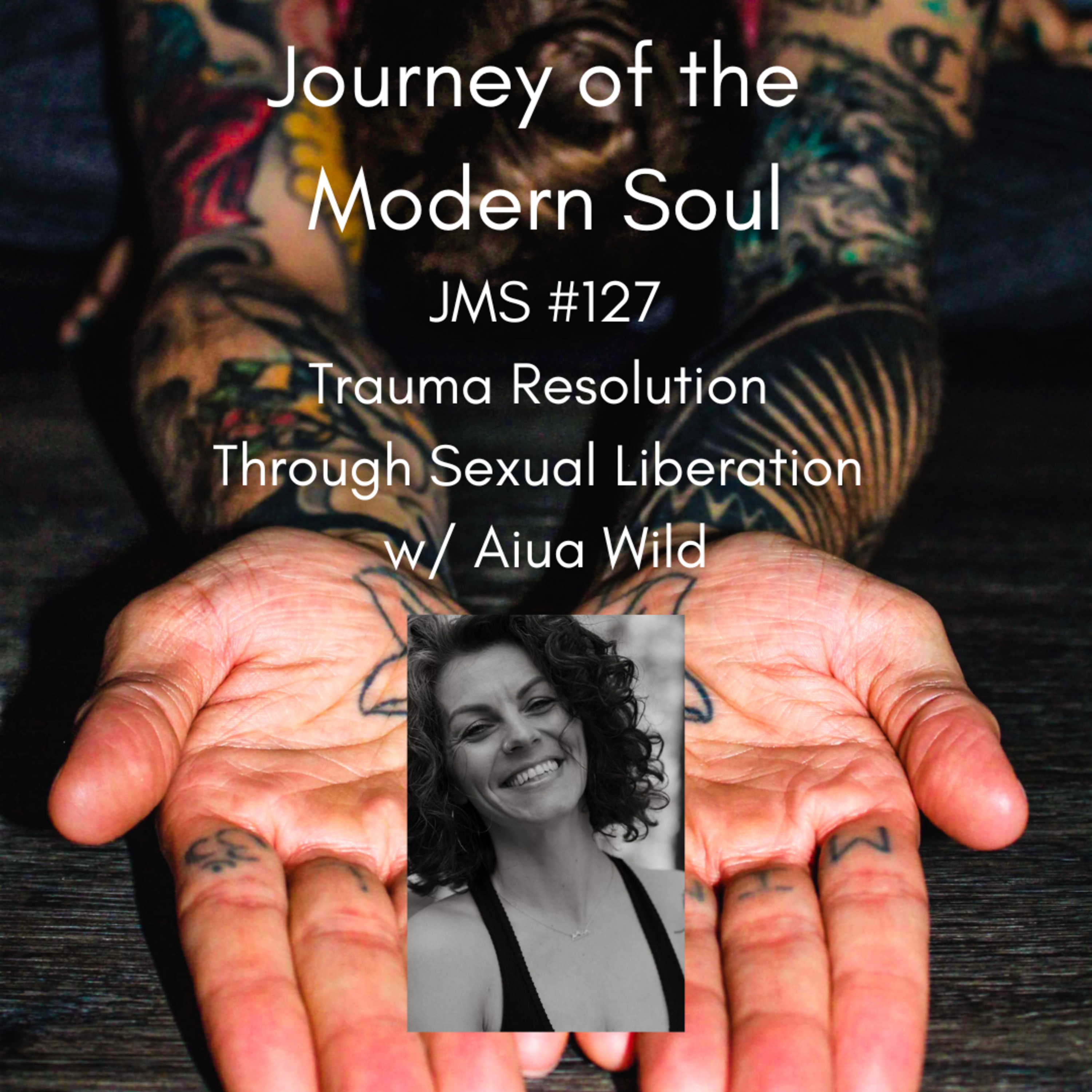 Journey of the Modern Soul