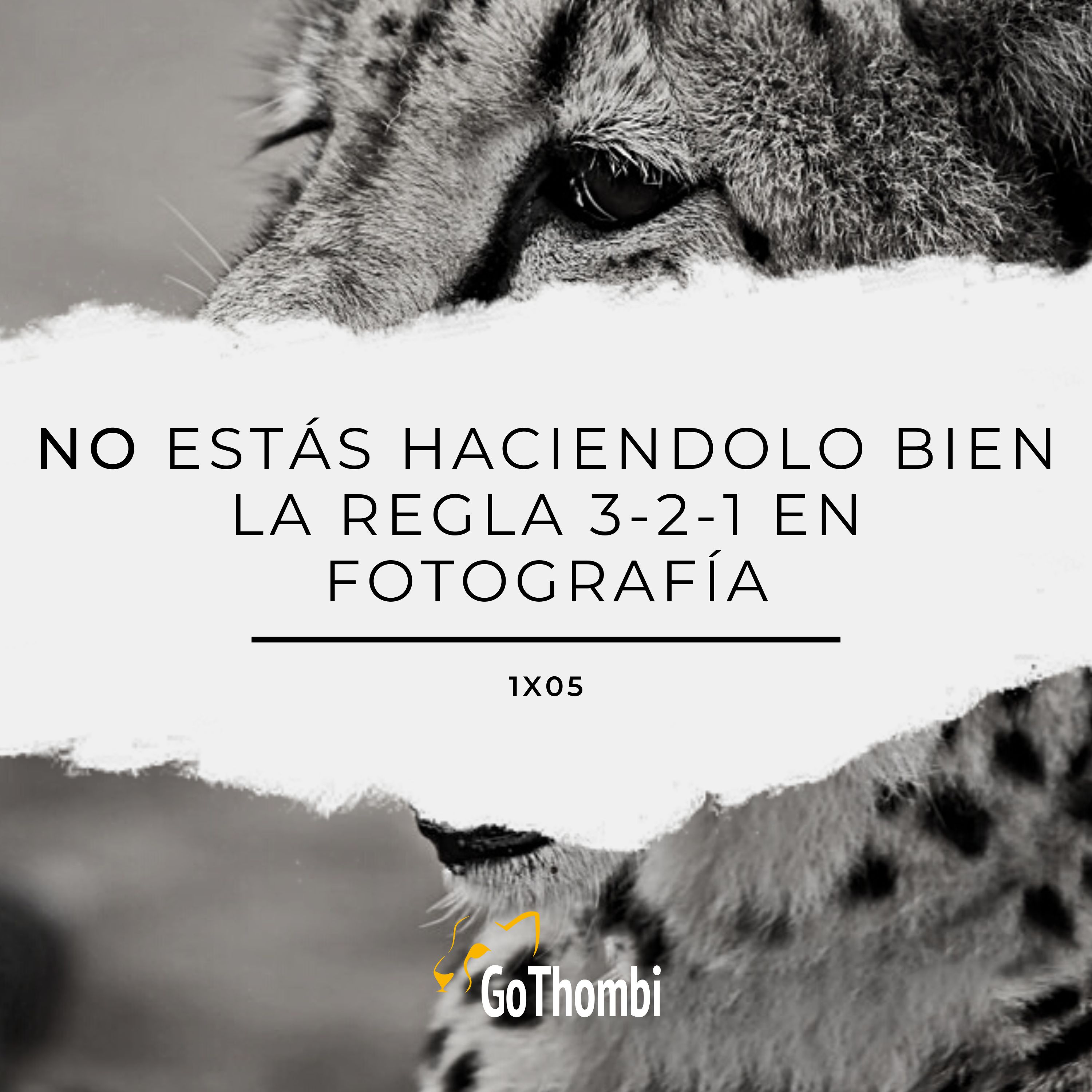 GoThombi - Viajes salvajes