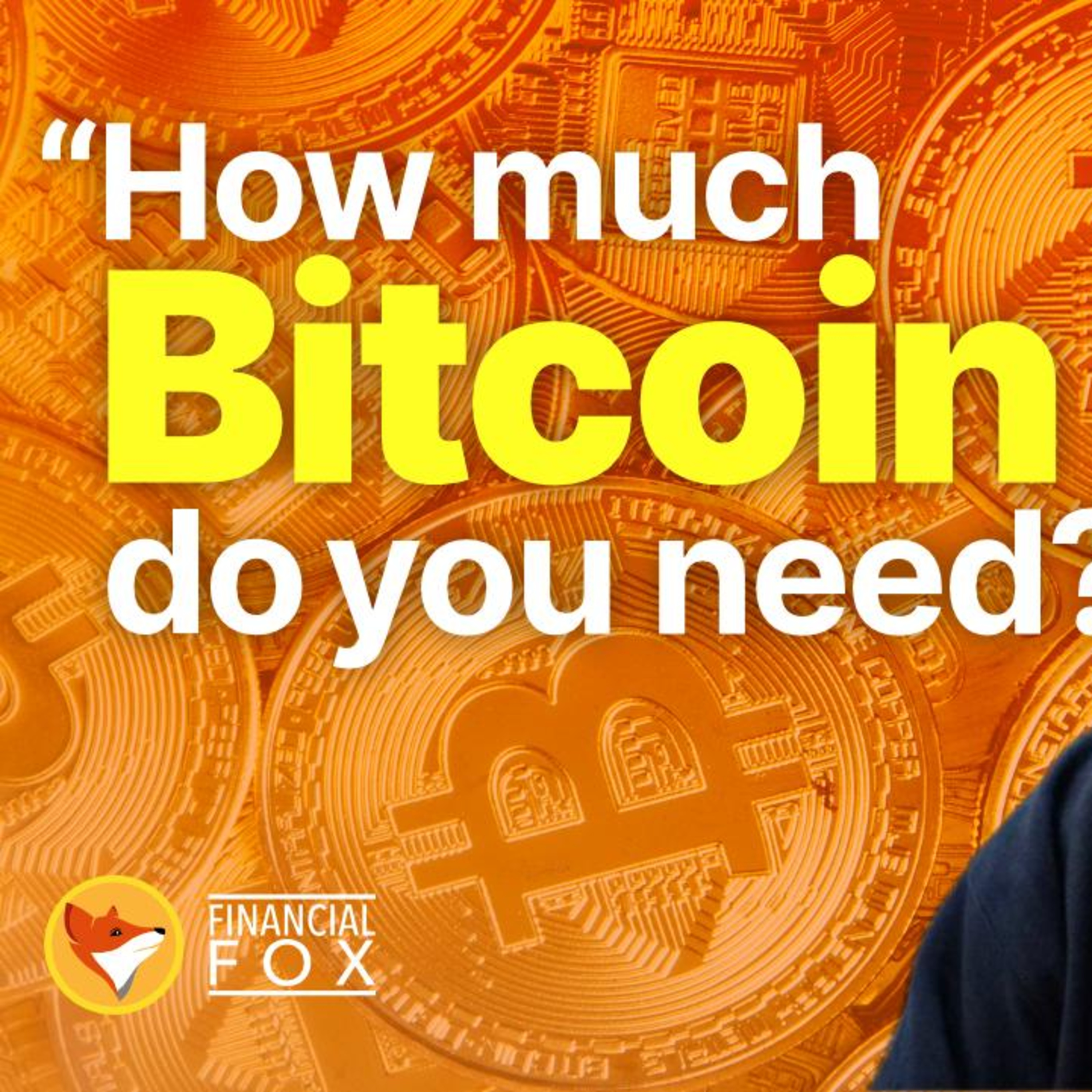 How much #bitcoins Do You Really Need? | Exclusive with Adam Back
