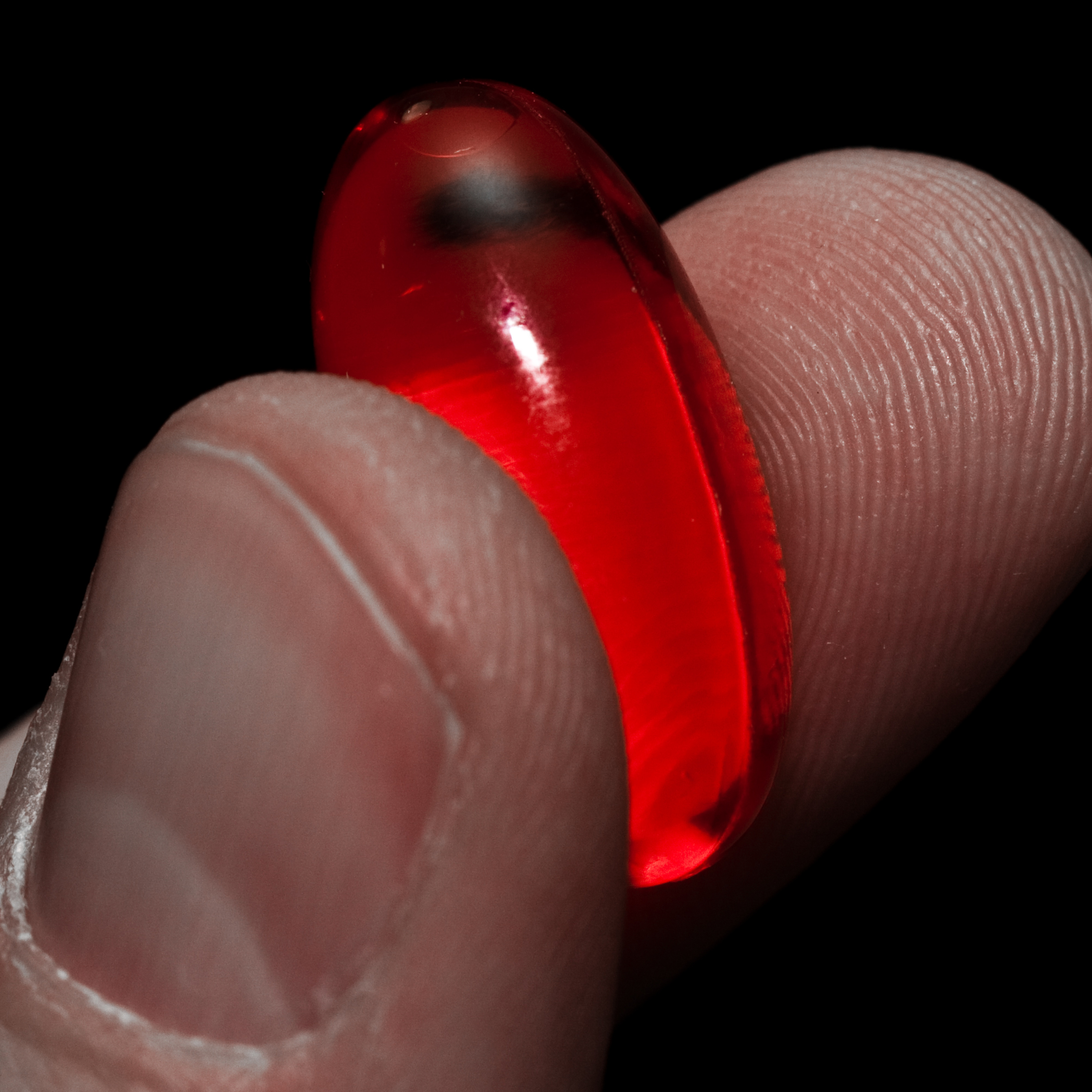 Renaissance Humanism.