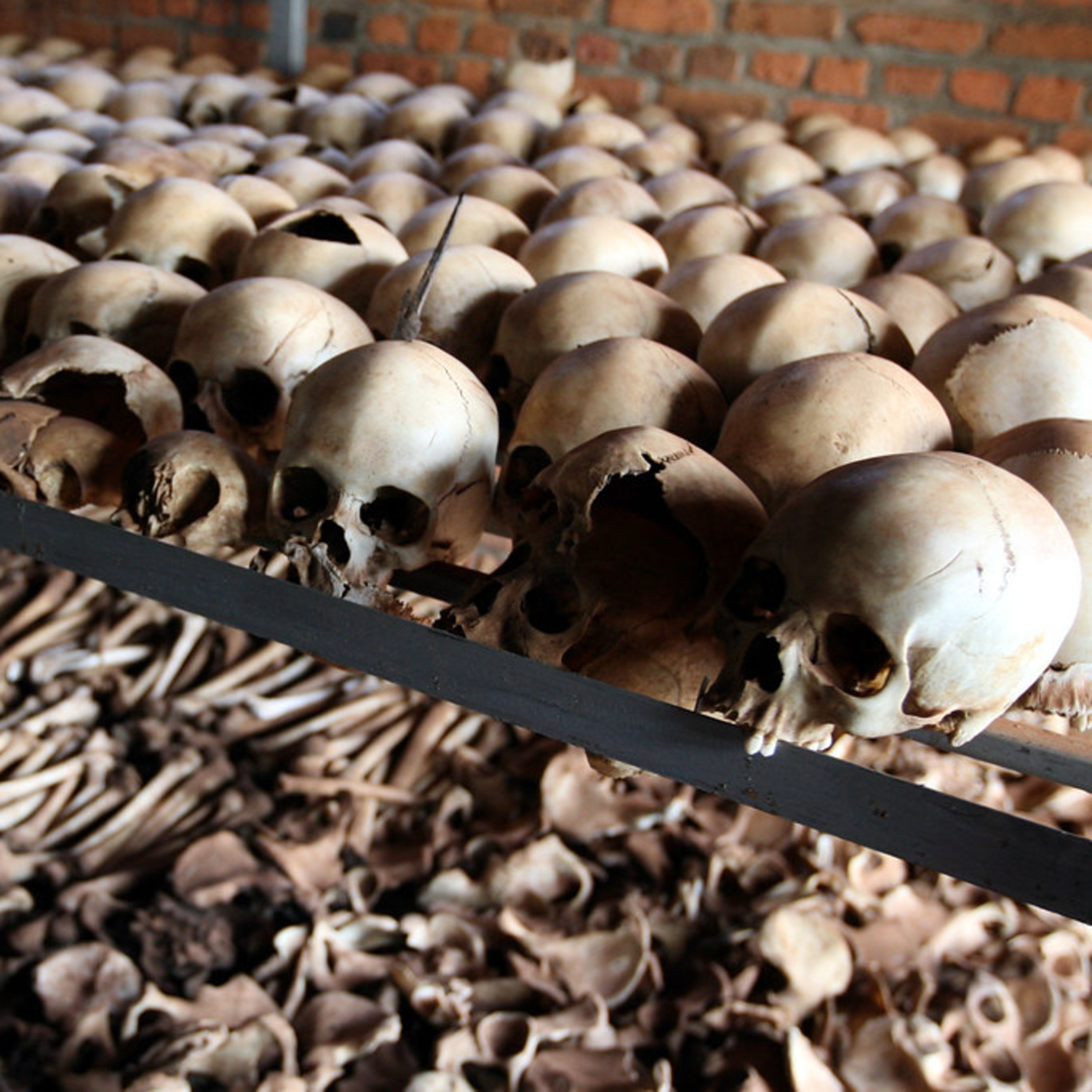 1994 Rwandan Genocide episode artwork